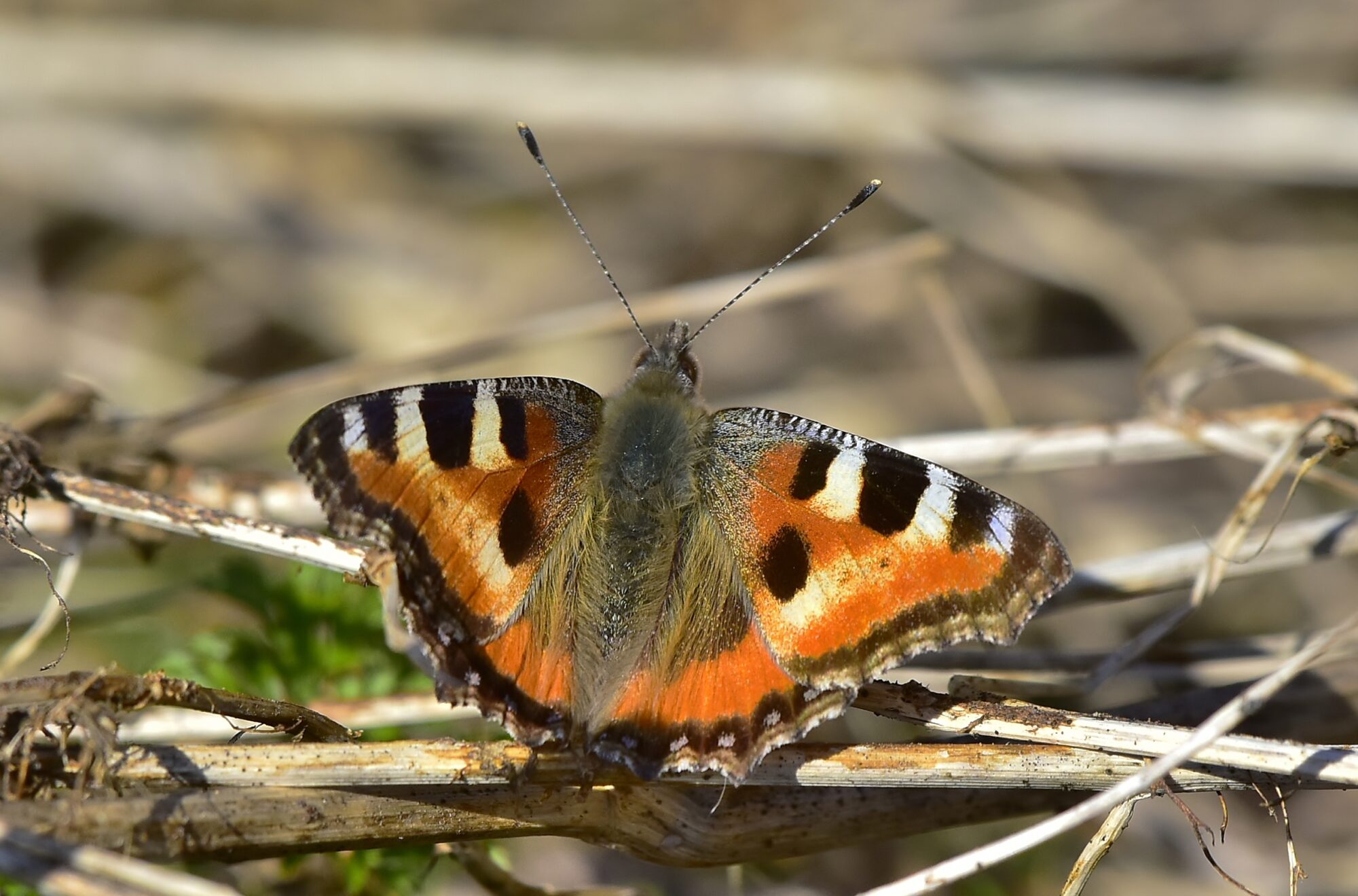 Valokuvaaja: Markku Pelkonen