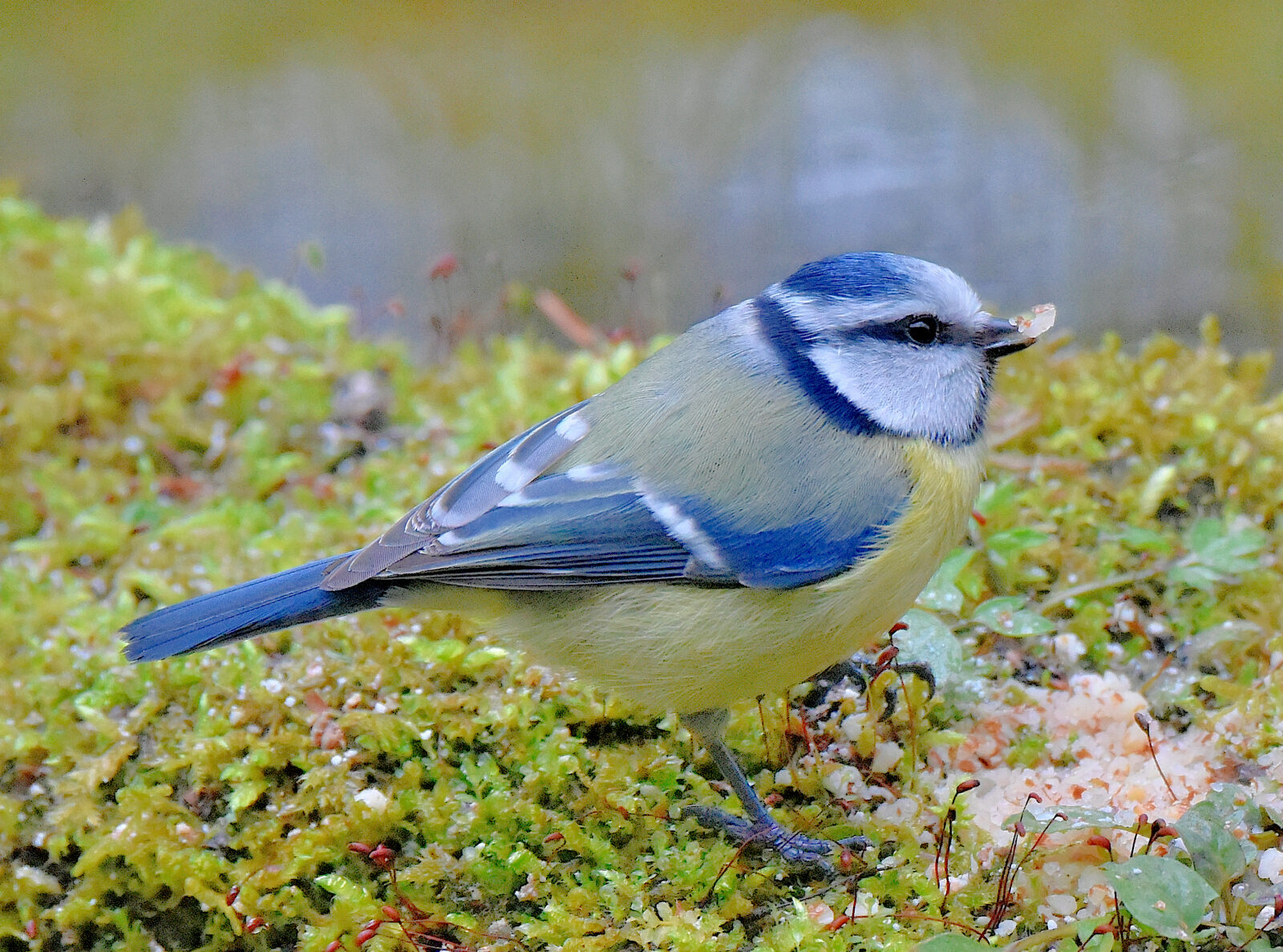 Valokuvaaja: Reijo Juurinen