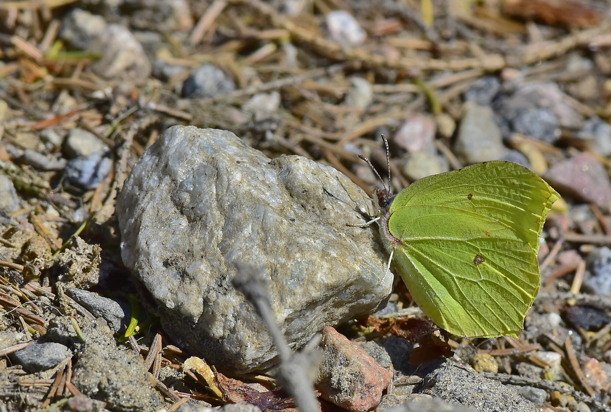 Valokuvaaja: Markku Pelkonen