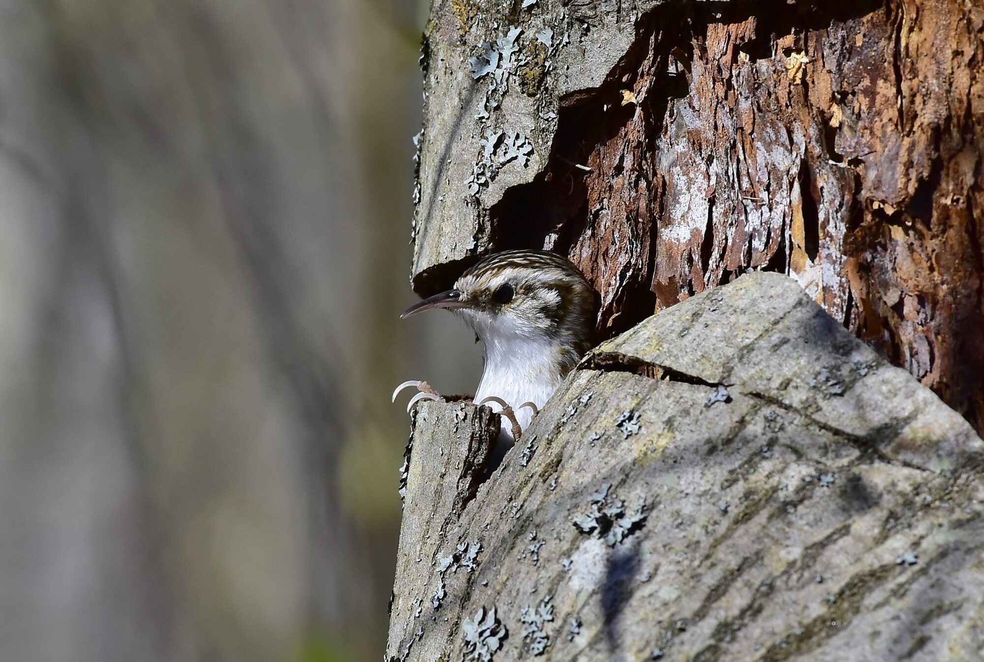 Valokuvaaja: Markku Pelkonen