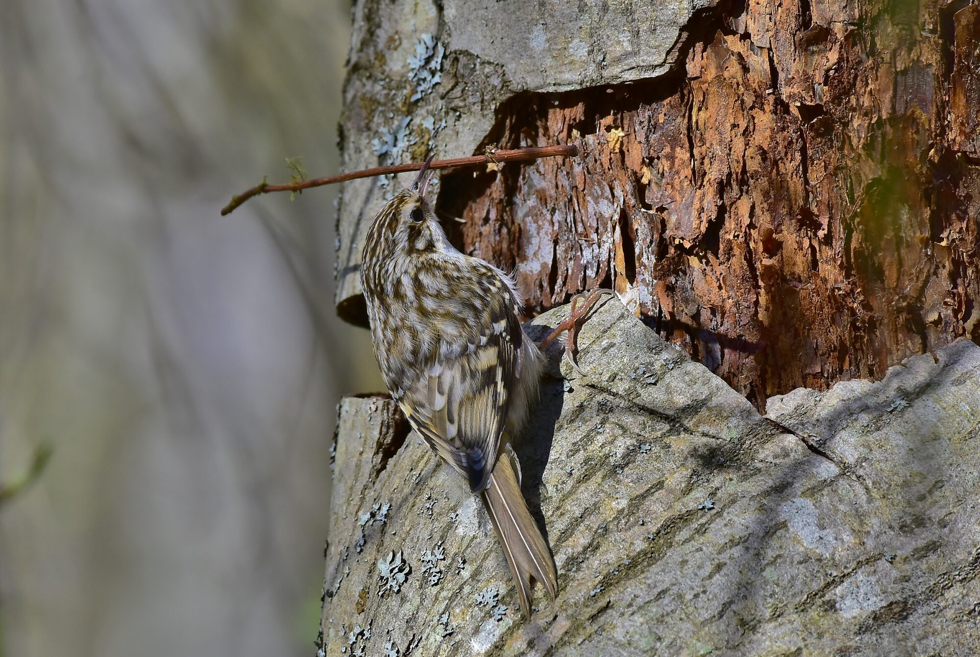 Valokuvaaja: Markku Pelkonen