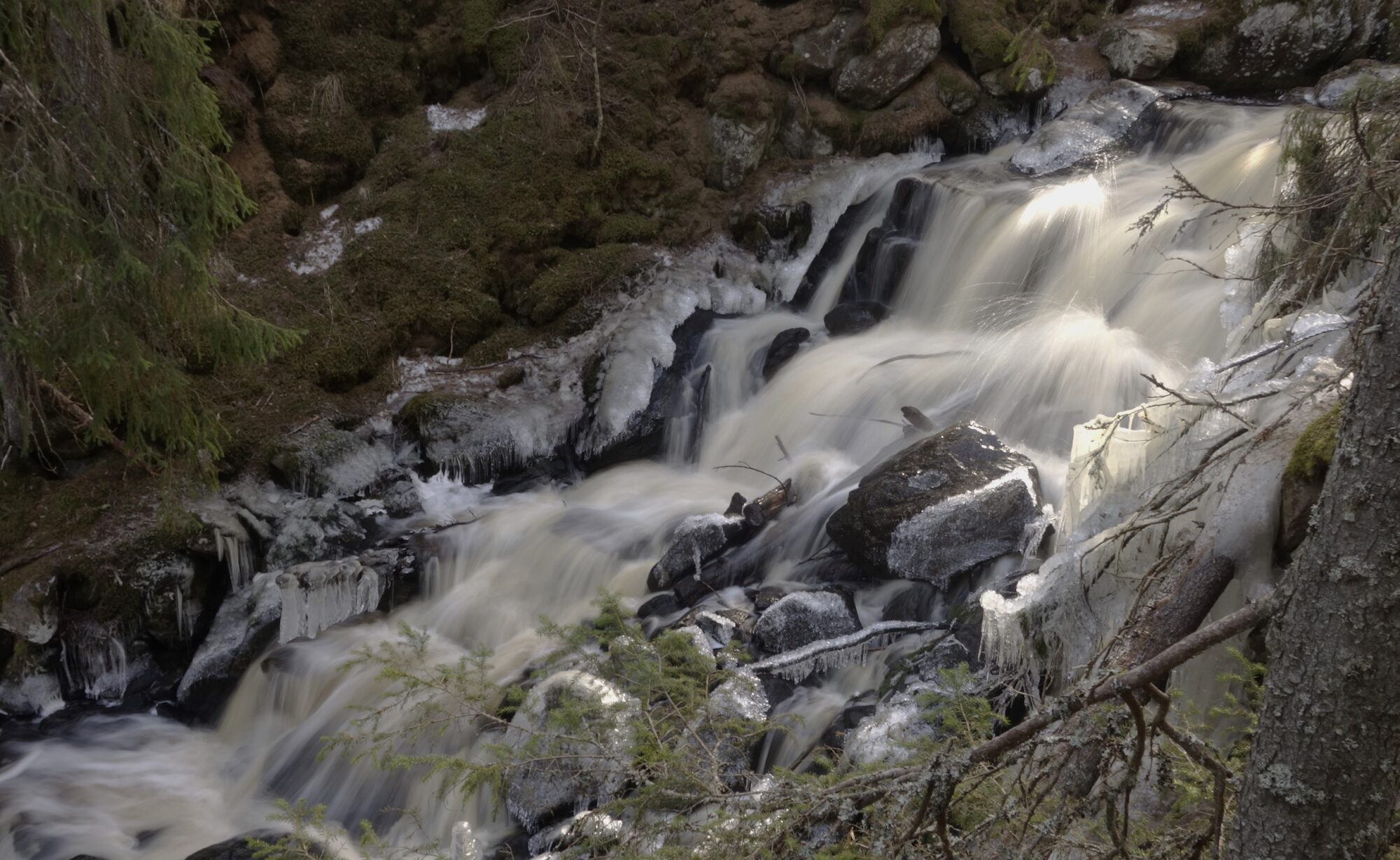 Valokuvaaja: Kaarina Heiskanen