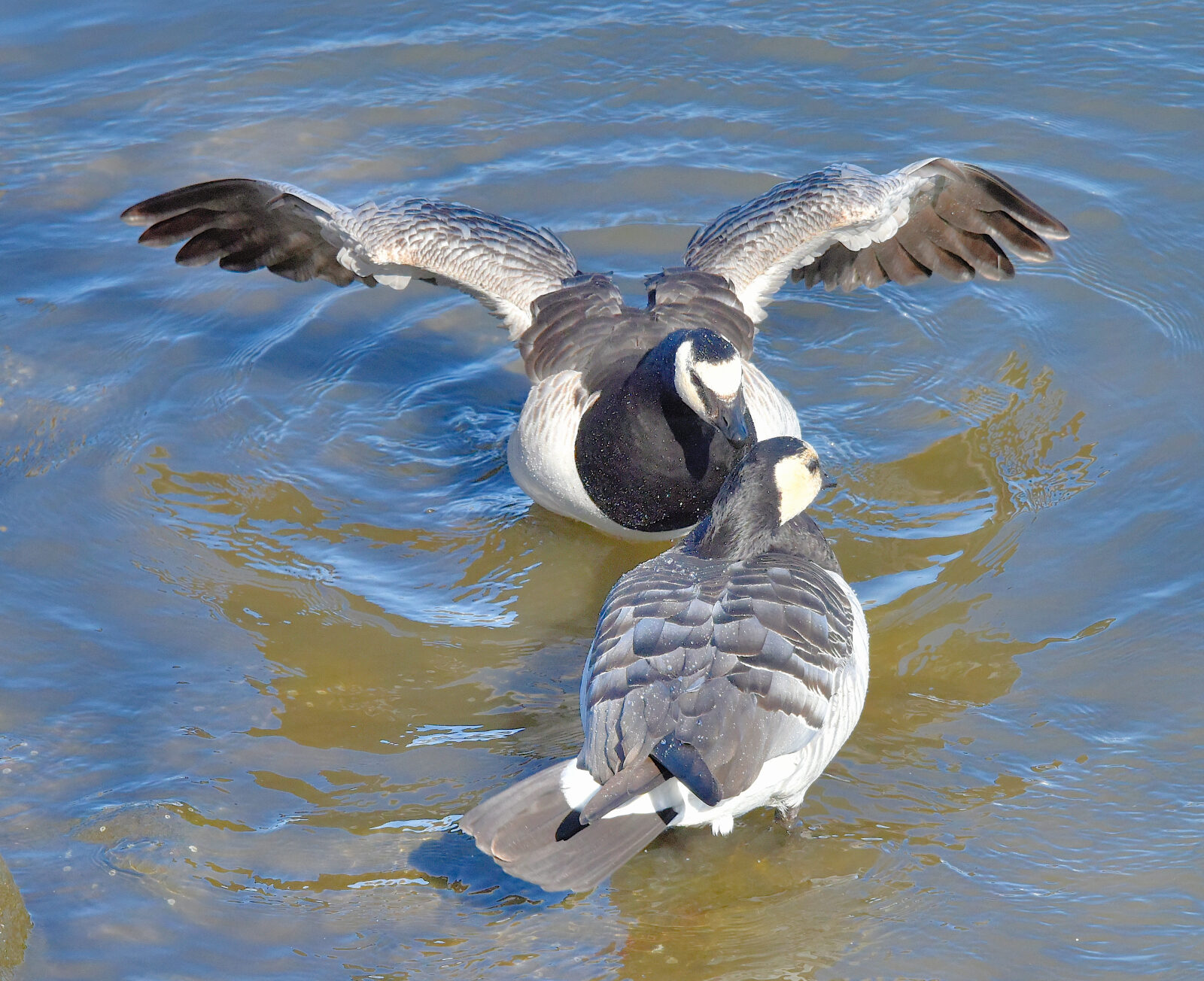 Valokuvaaja: Reijo Juurinen