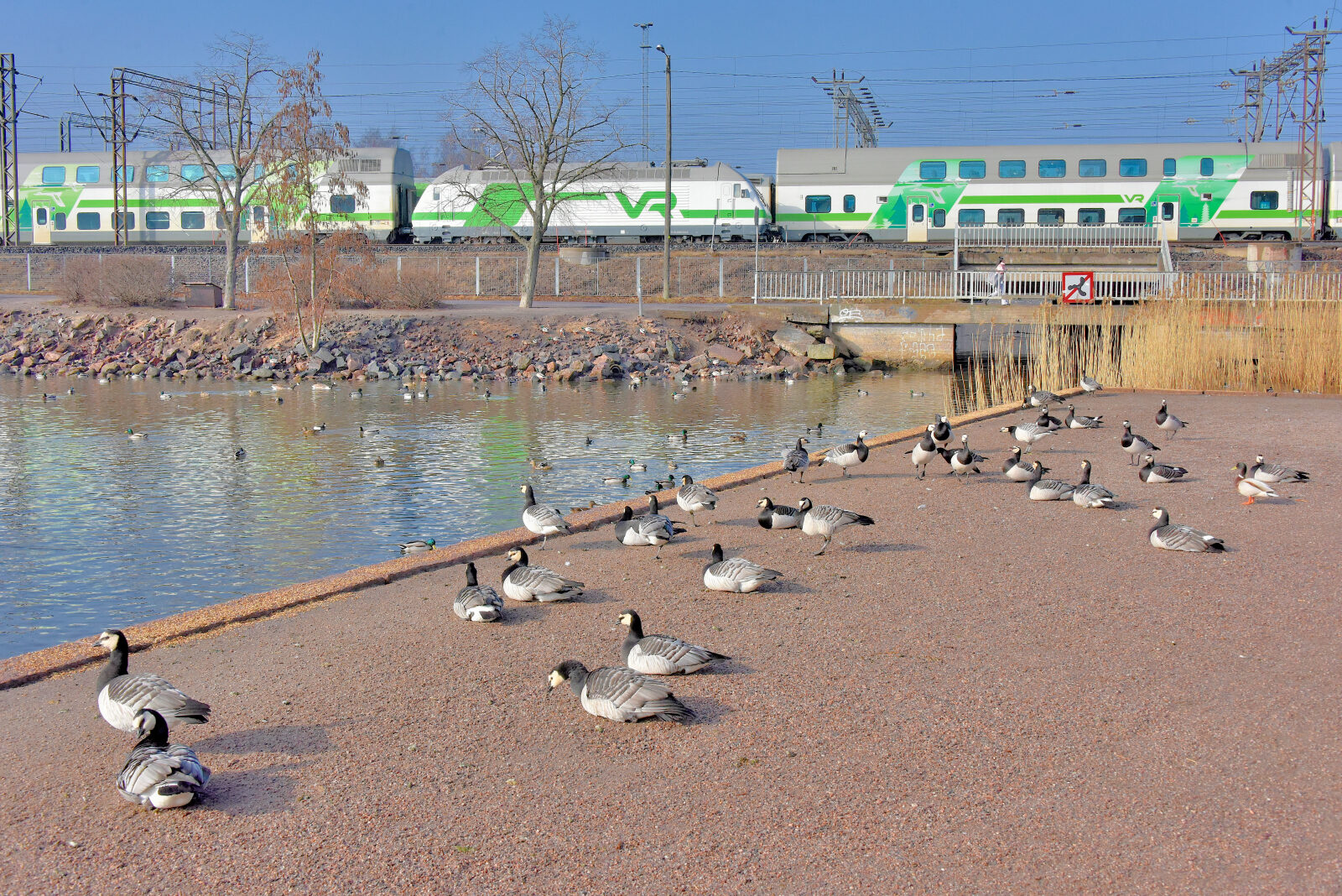 Valokuvaaja: Reijo Juurinen
