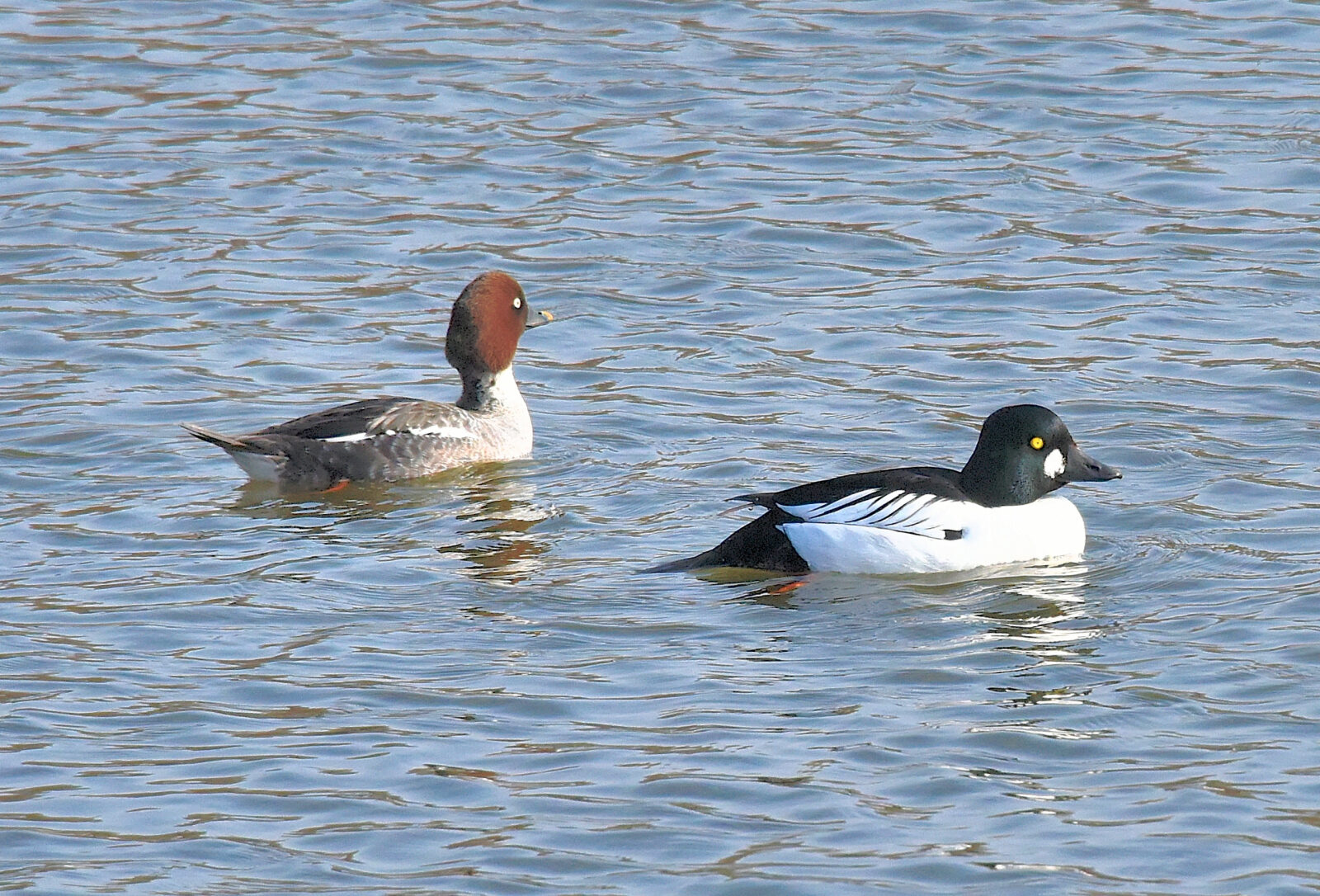 Valokuvaaja: Reijo Juurinen