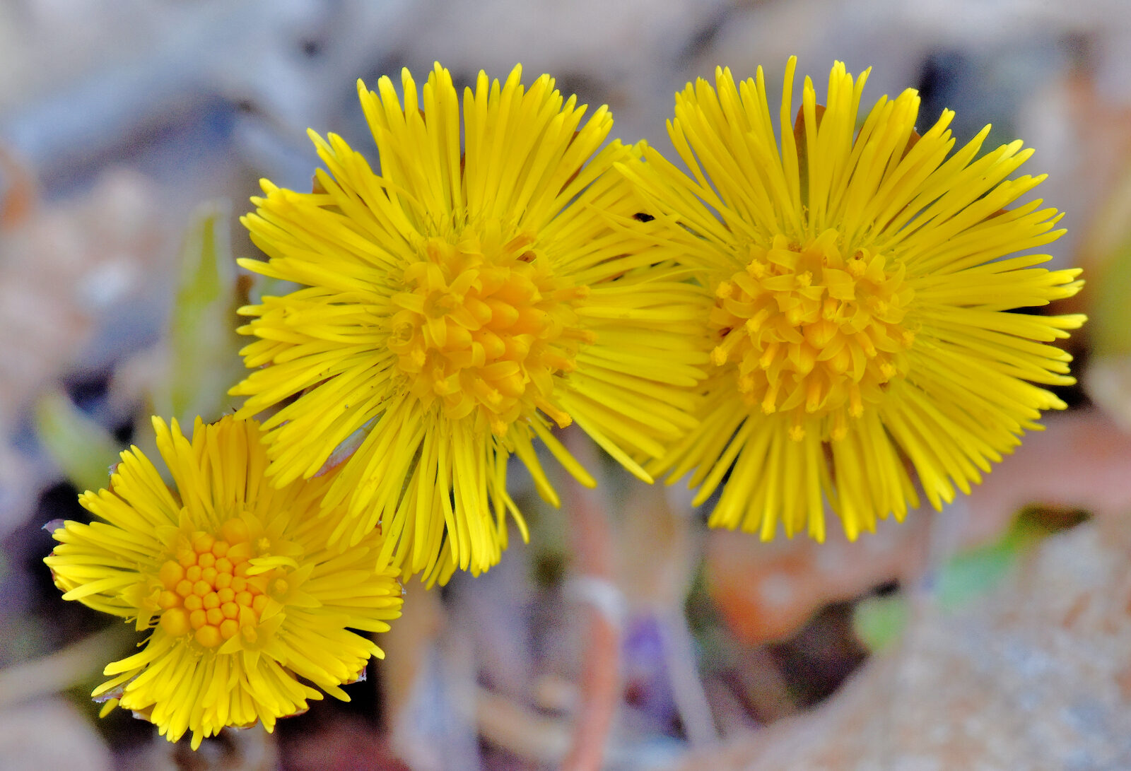 Valokuvaaja: Reijo Juurinen