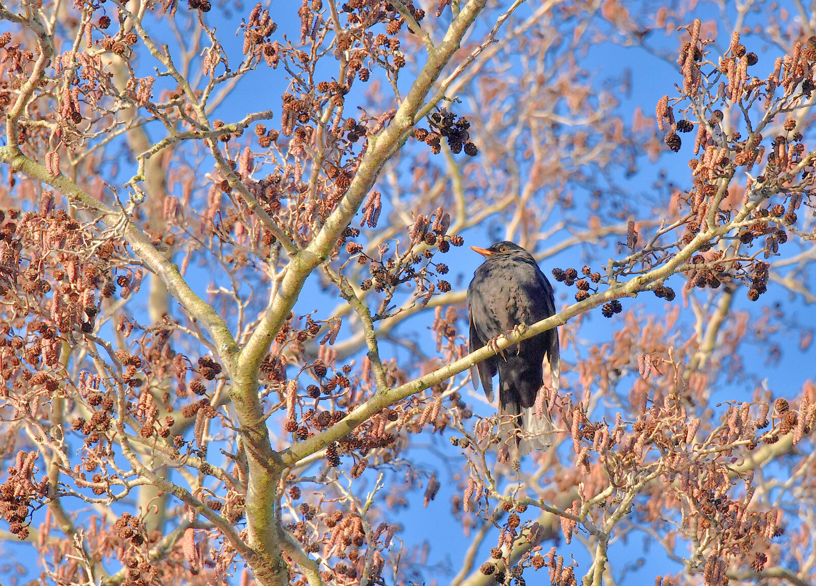 Valokuvaaja: Reijo Juurinen
