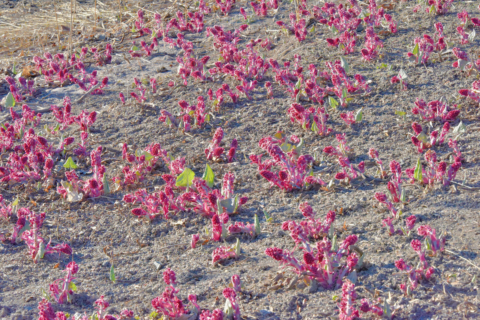 Valokuvaaja: Reijo Juurinen
