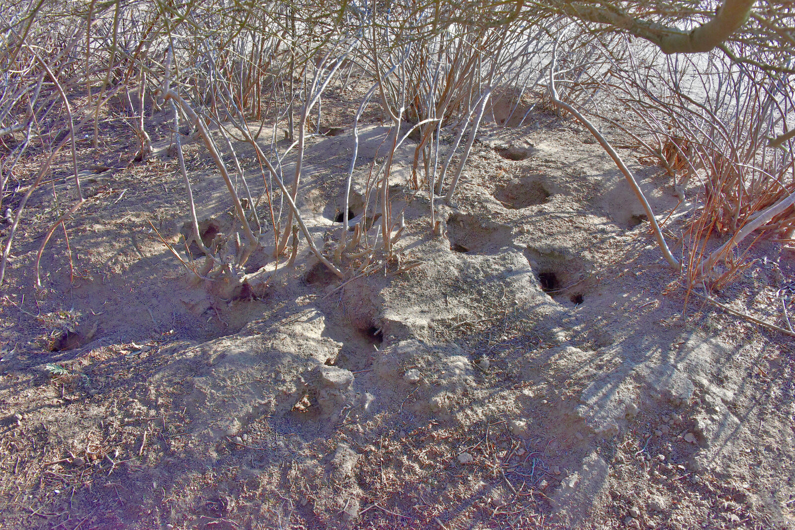 Valokuvaaja: Reijo Juurinen