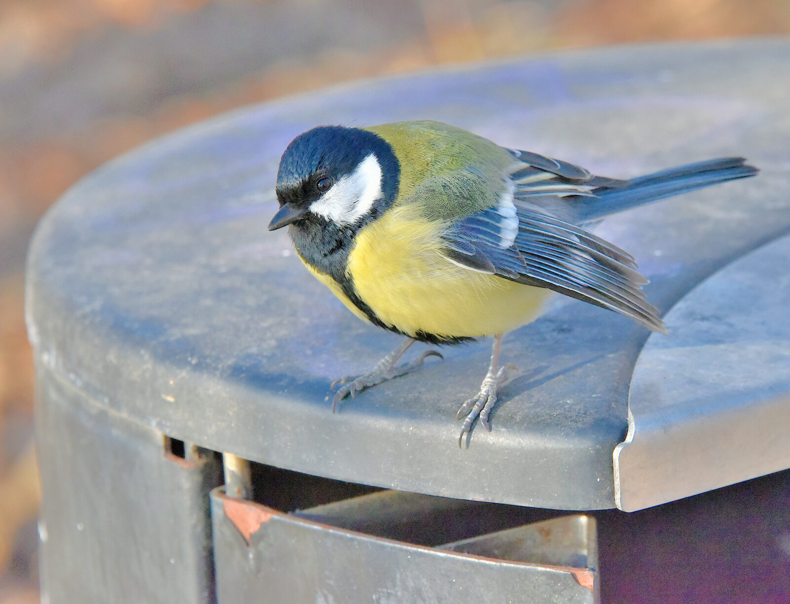 Valokuvaaja: Reijo Juurinen