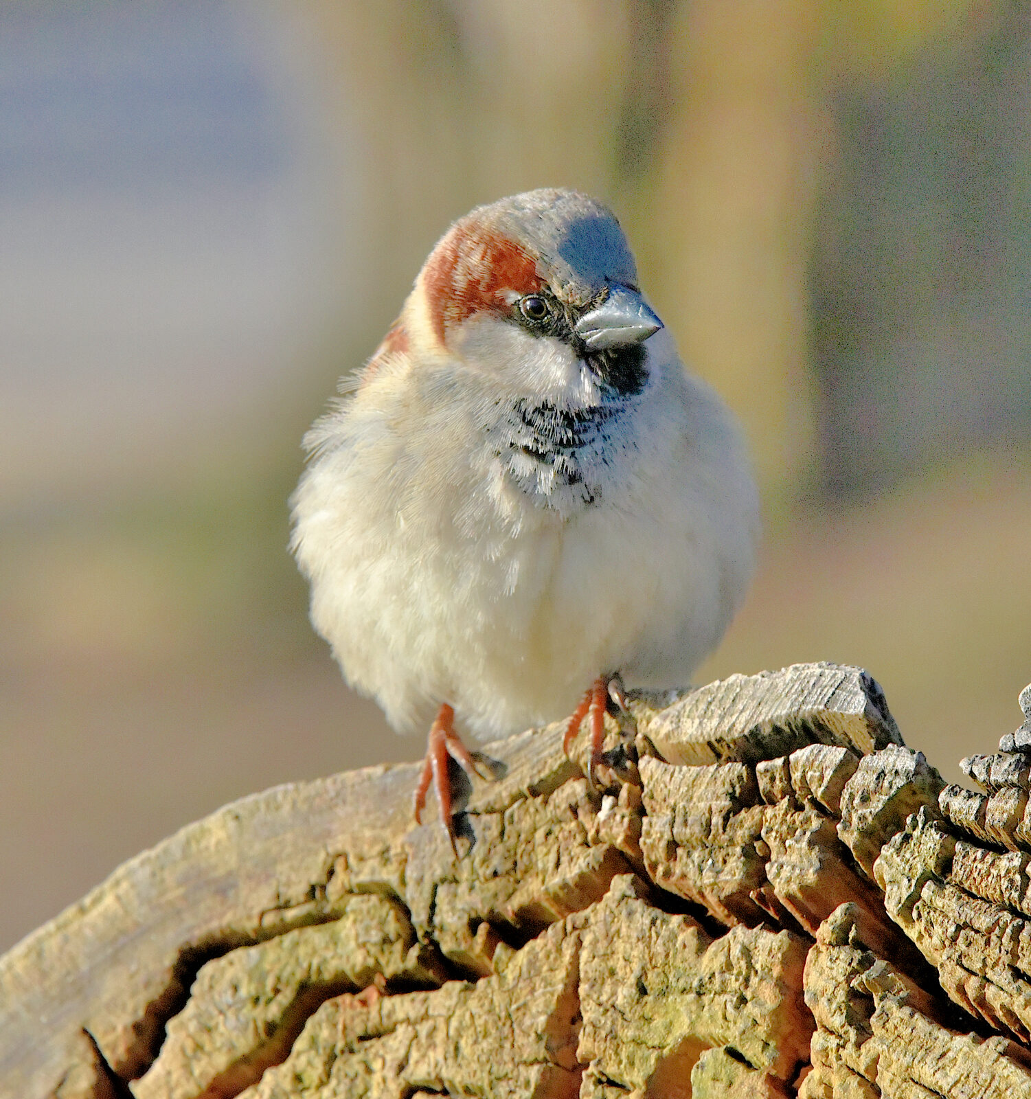 Valokuvaaja: Reijo Juurinen