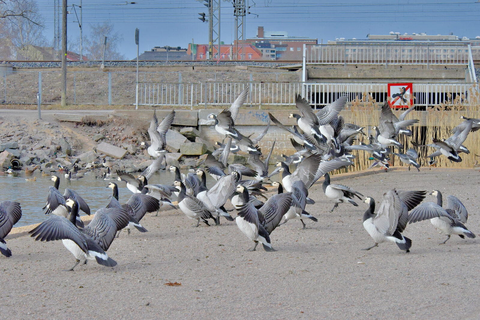 Valokuvaaja: Reijo Juurinen