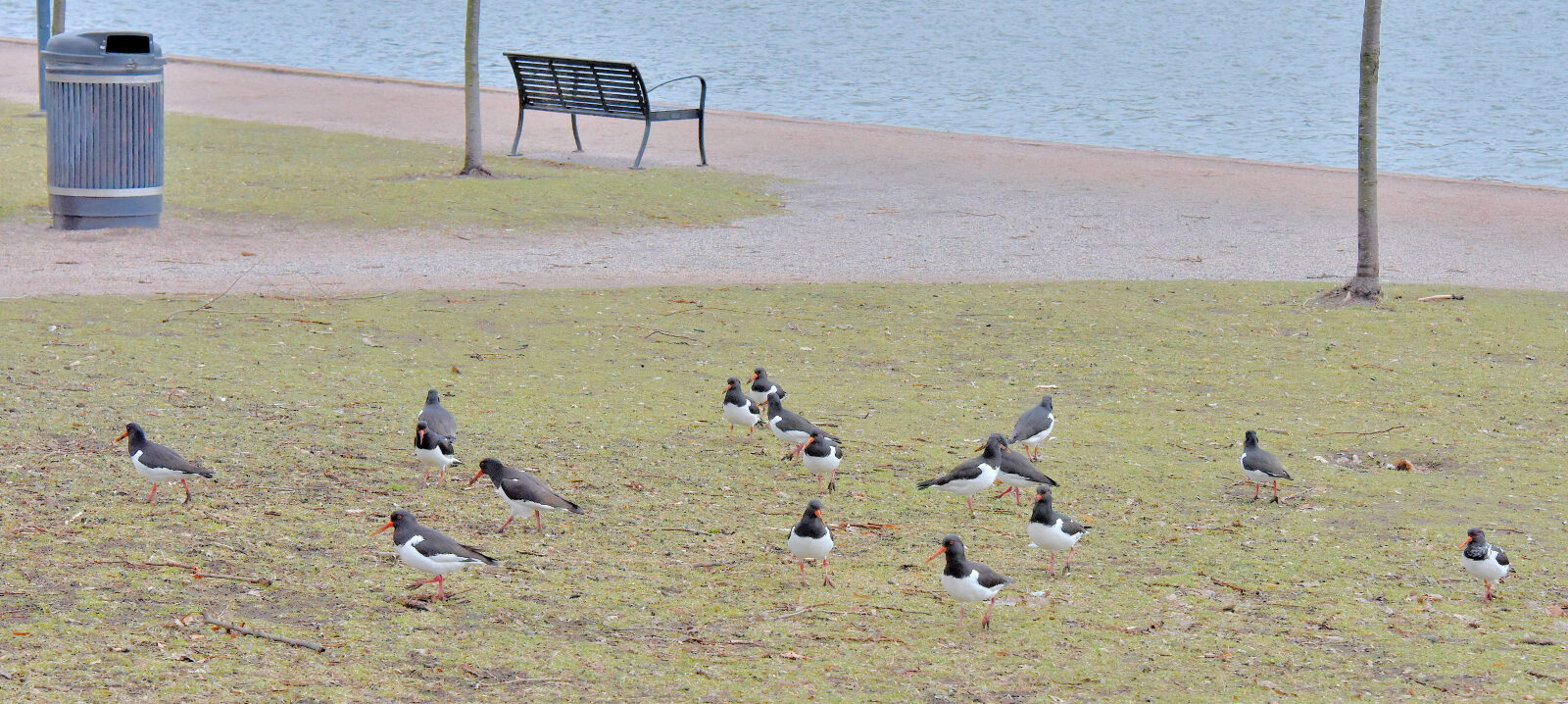 Valokuvaaja: Reijo Juurinen