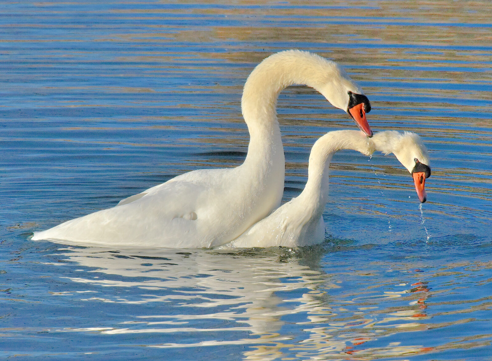 Valokuvaaja: Reijo Juurinen