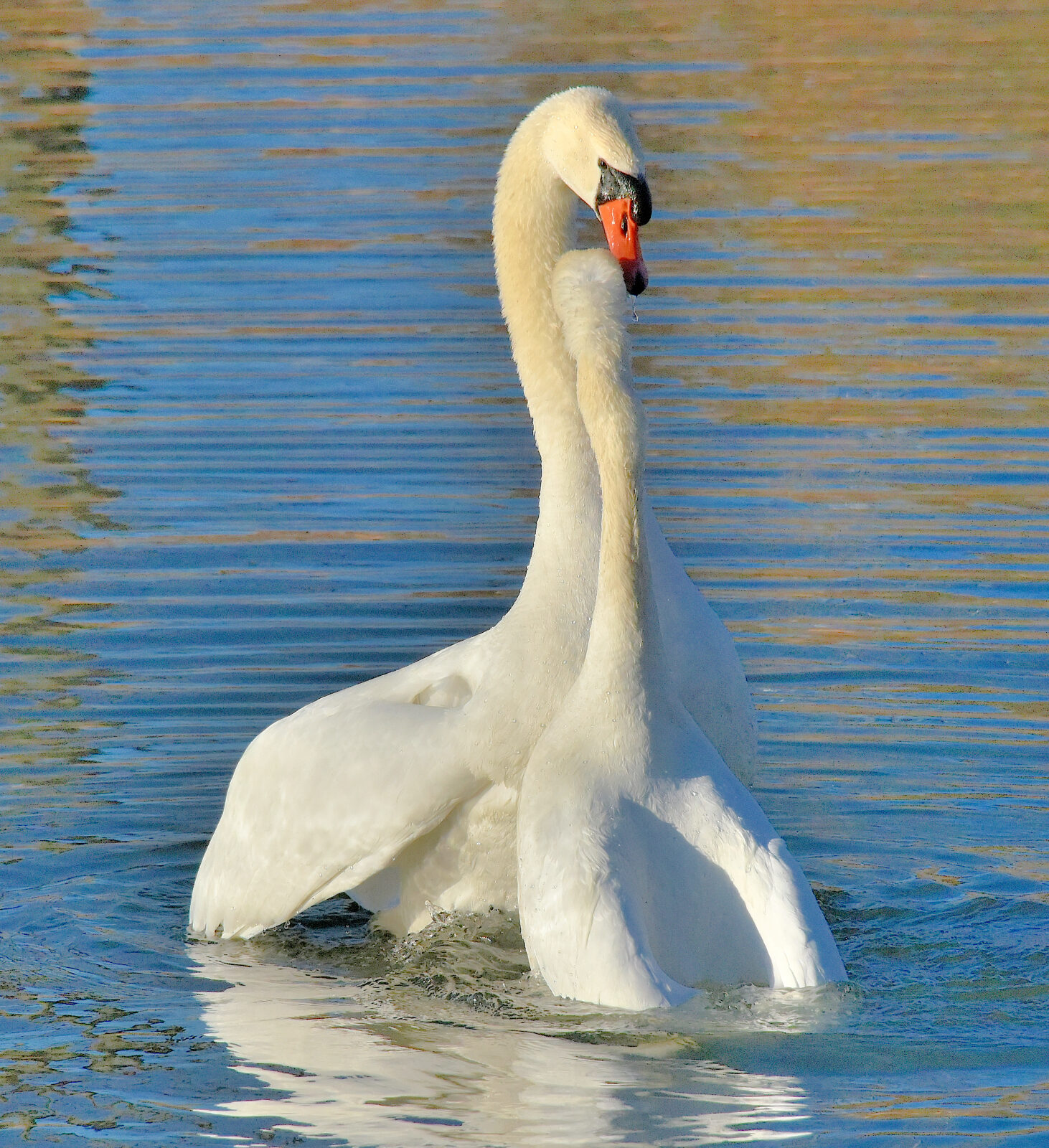 Valokuvaaja: Reijo Juurinen