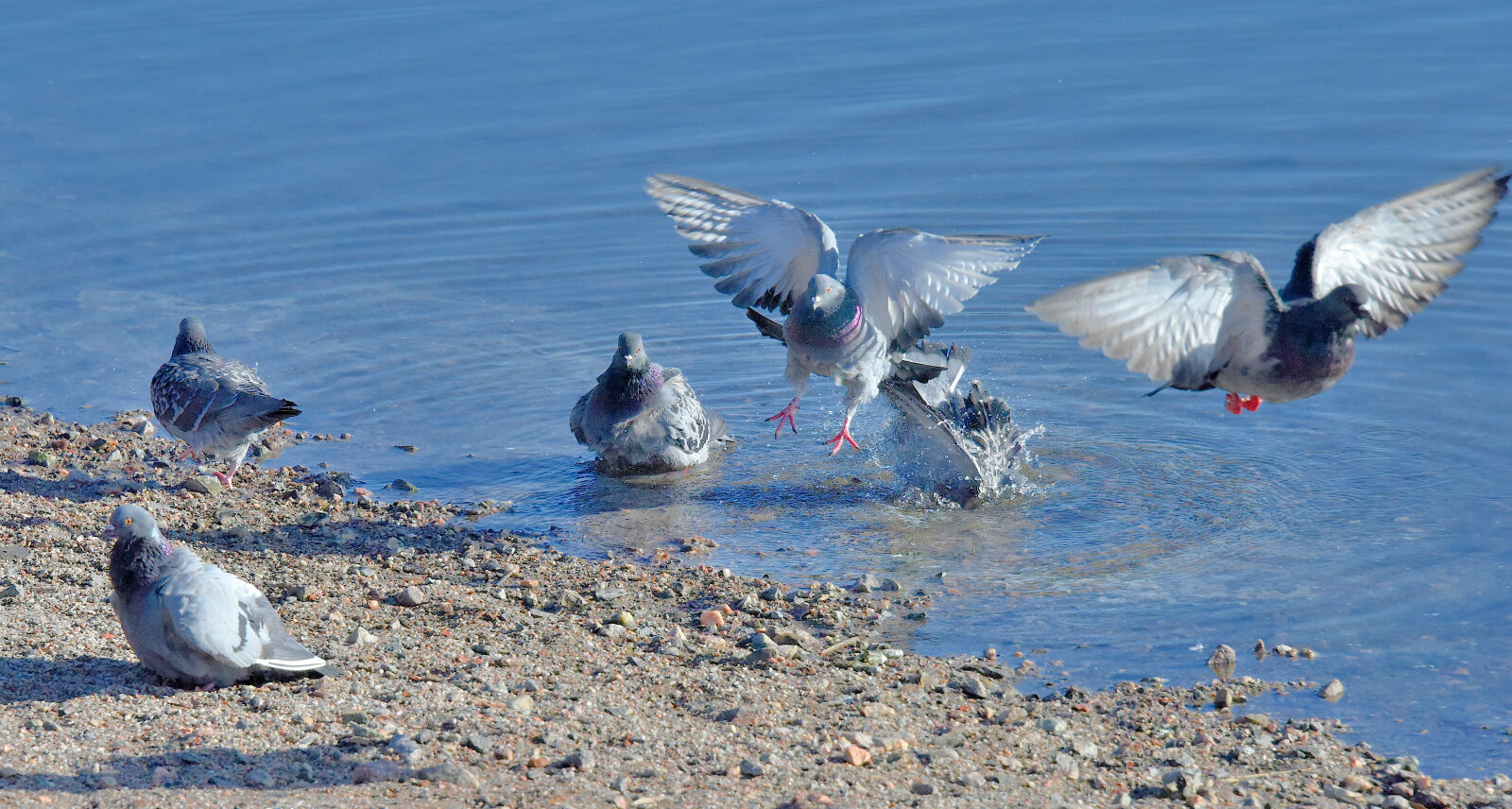 Valokuvaaja: Reijo Juurinen