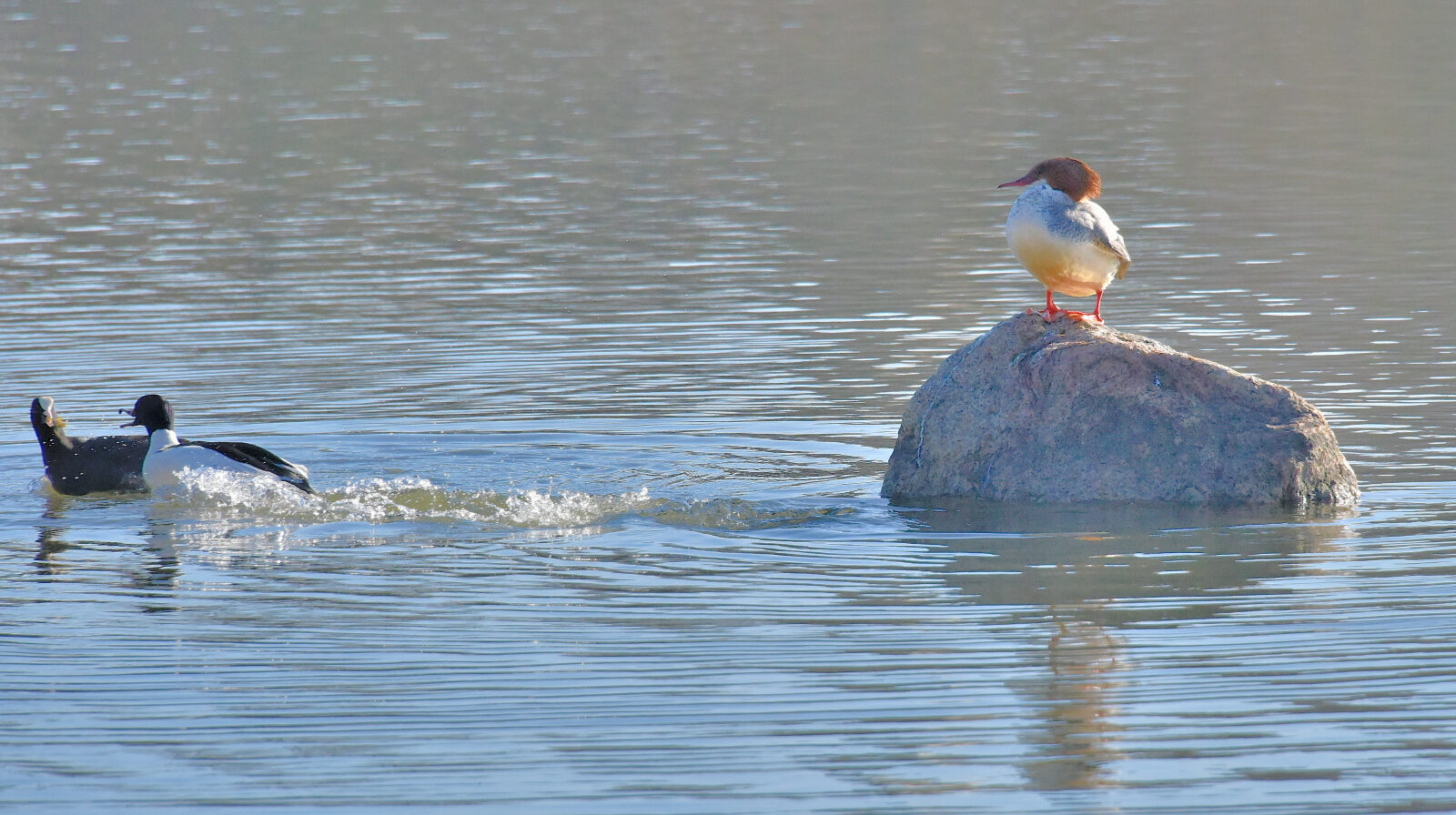 Valokuvaaja: Reijo Juurinen