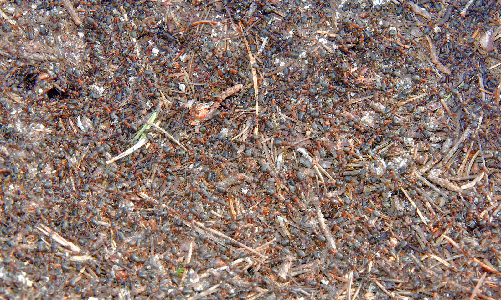 Valokuvaaja: Reijo Juurinen