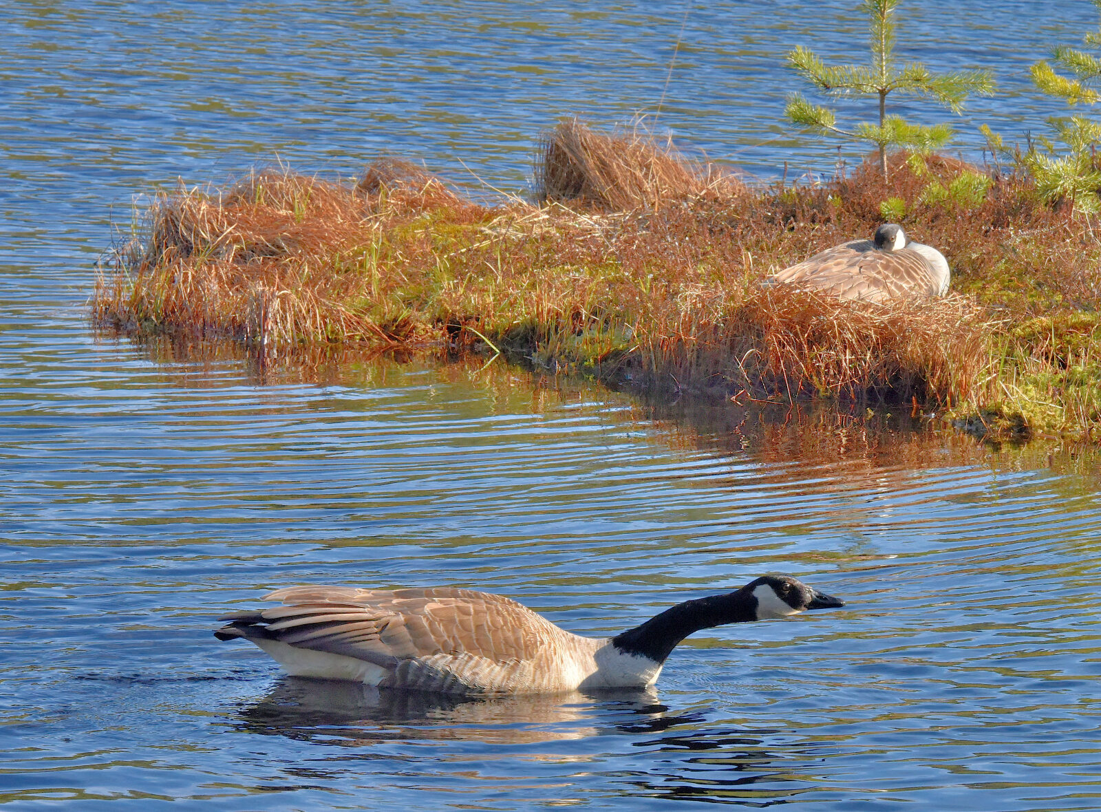 Valokuvaaja: Reijo Juurinen