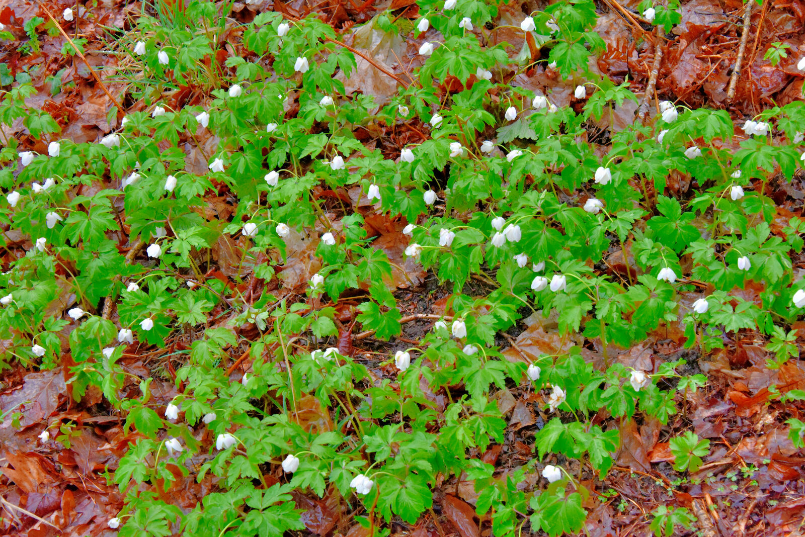 Valokuvaaja: Reijo Juurinen