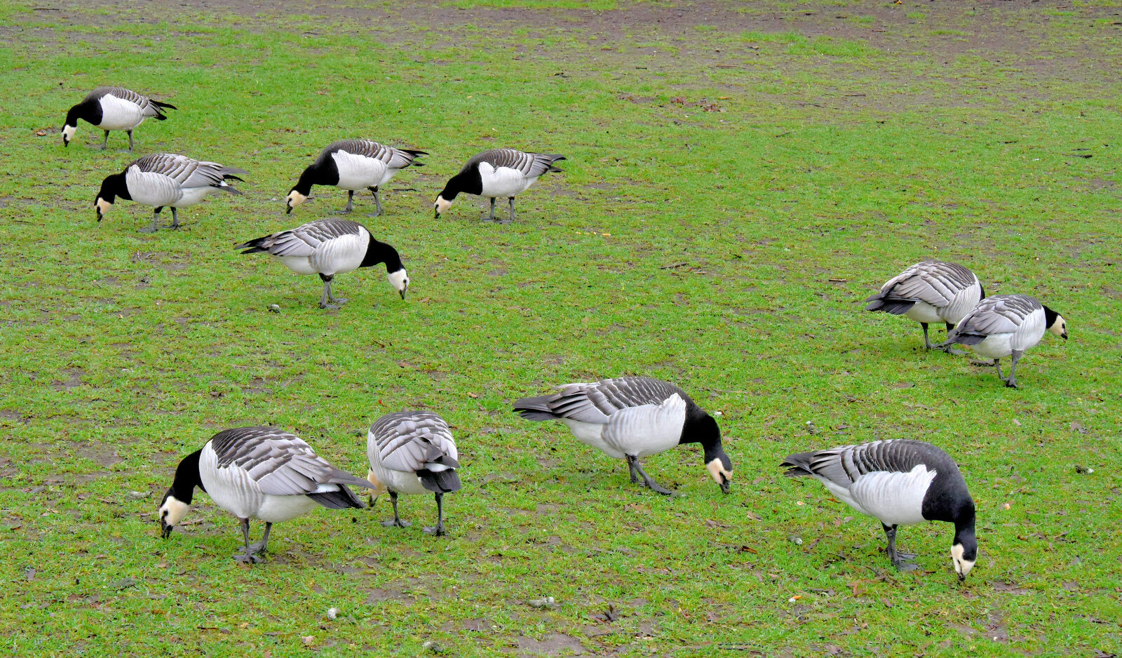 Valokuvaaja: Reijo Juurinen