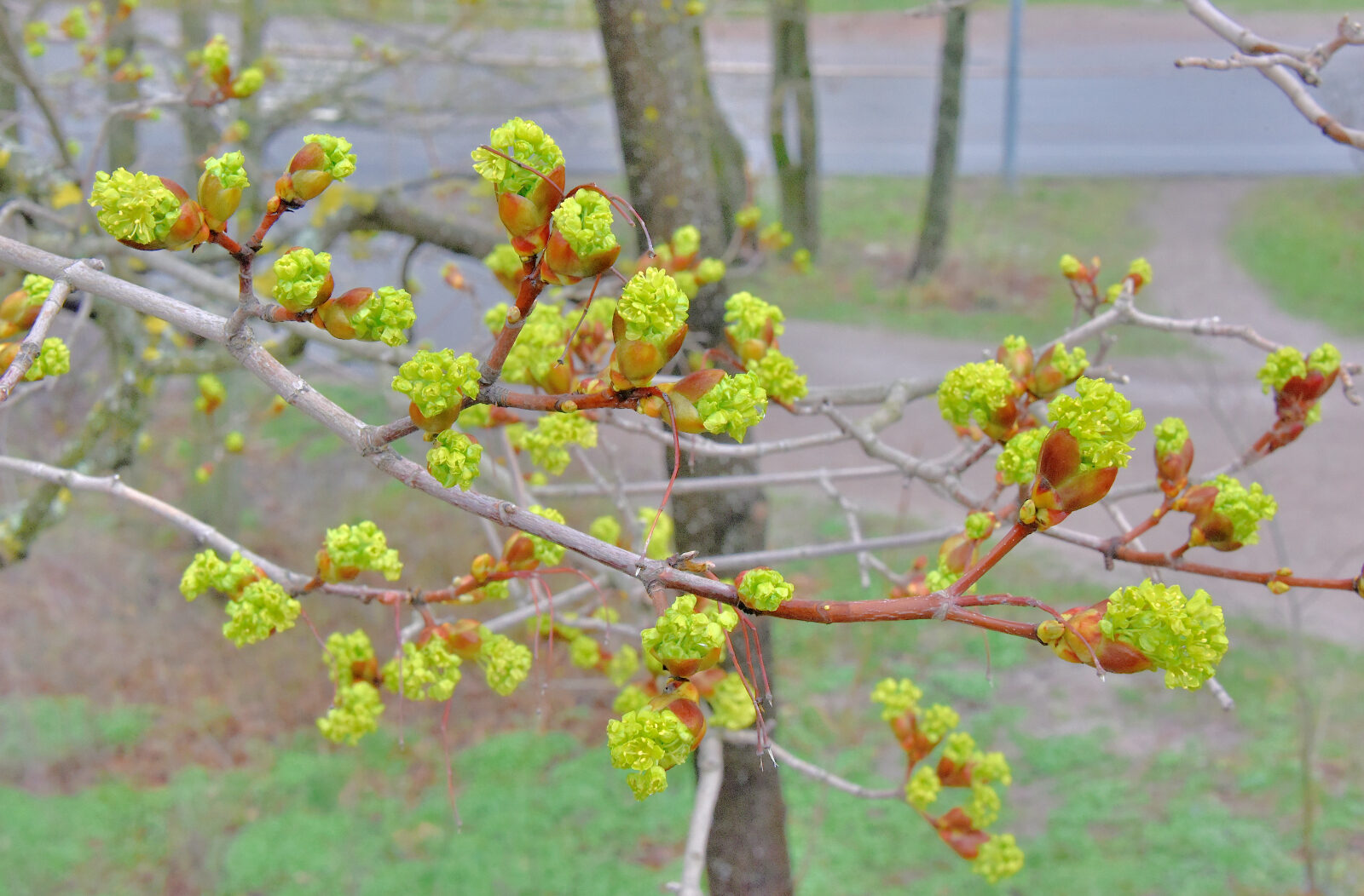 Valokuvaaja: reijo.juurinen@elisanet.fi