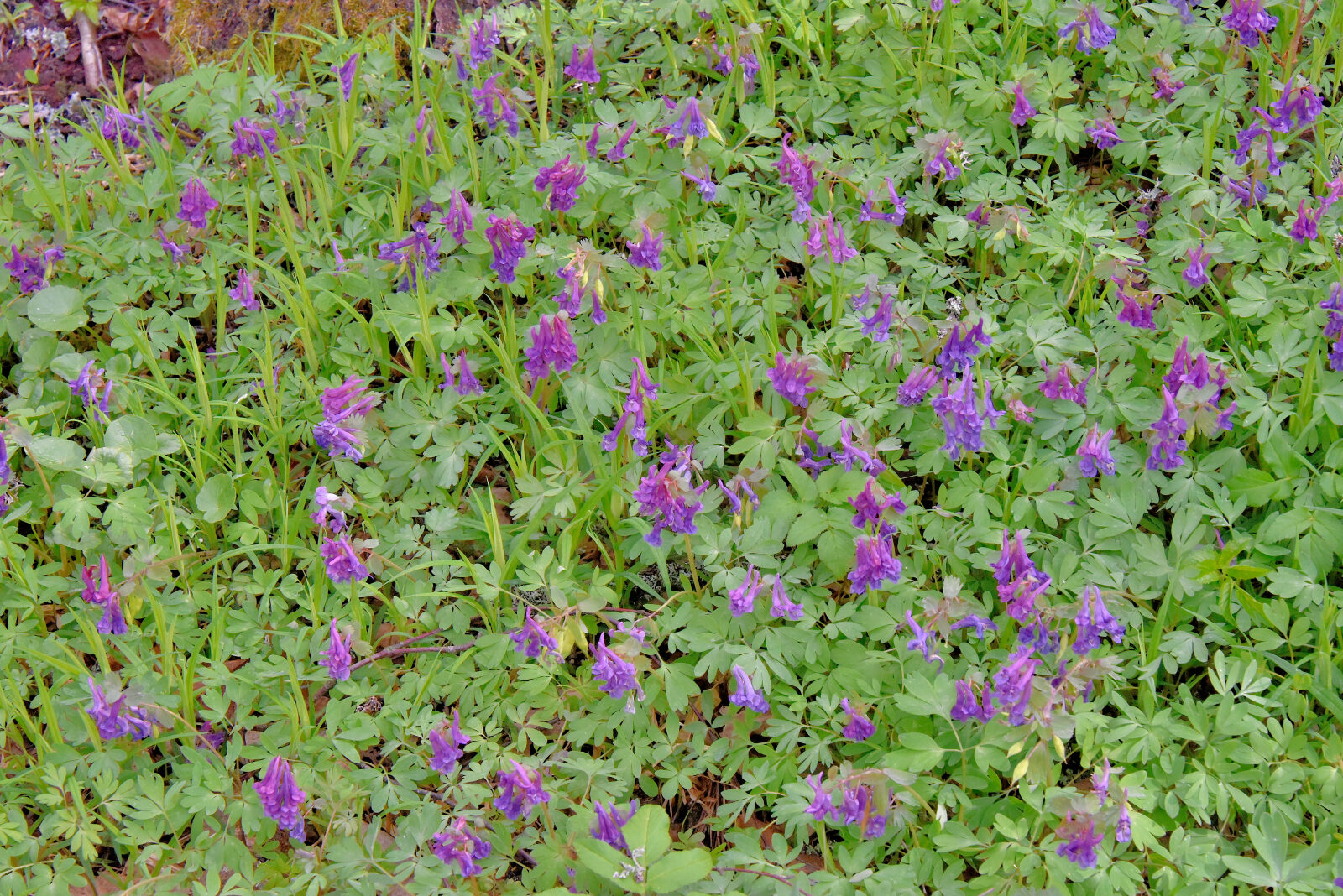 Valokuvaaja: Reijo Juurinen