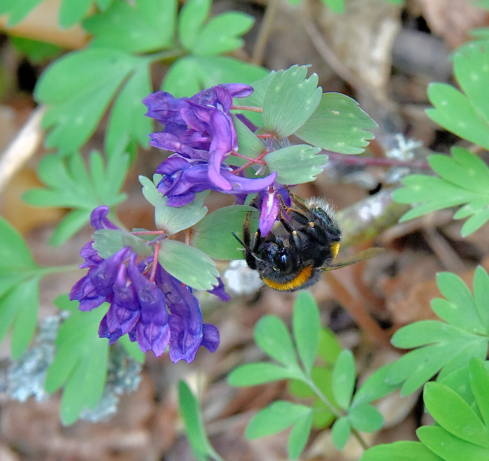 Valokuvaaja: Reijo Juurinen