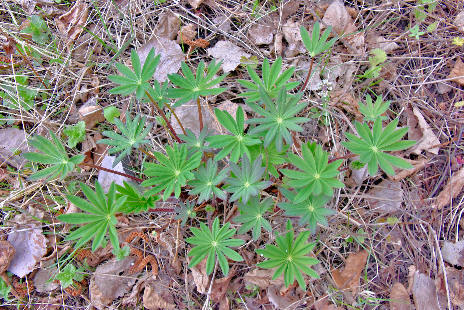 Valokuvaaja: Reijo Juurinen