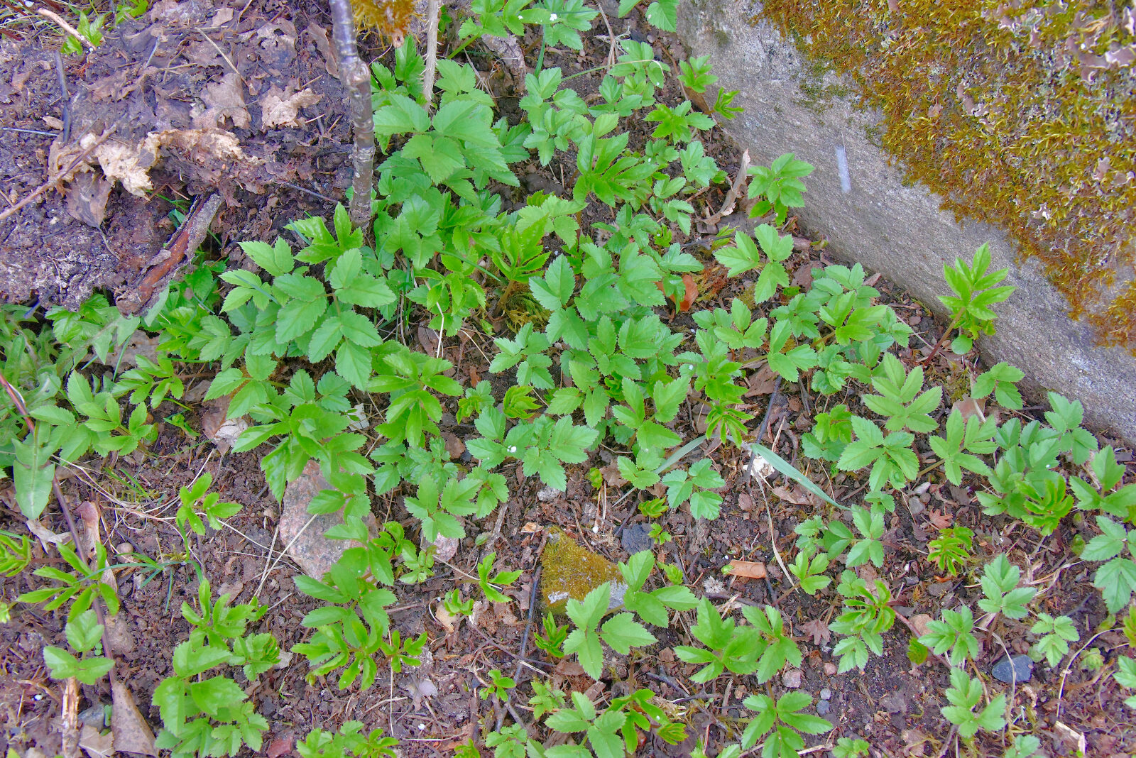 Valokuvaaja: Reijo Juurinen