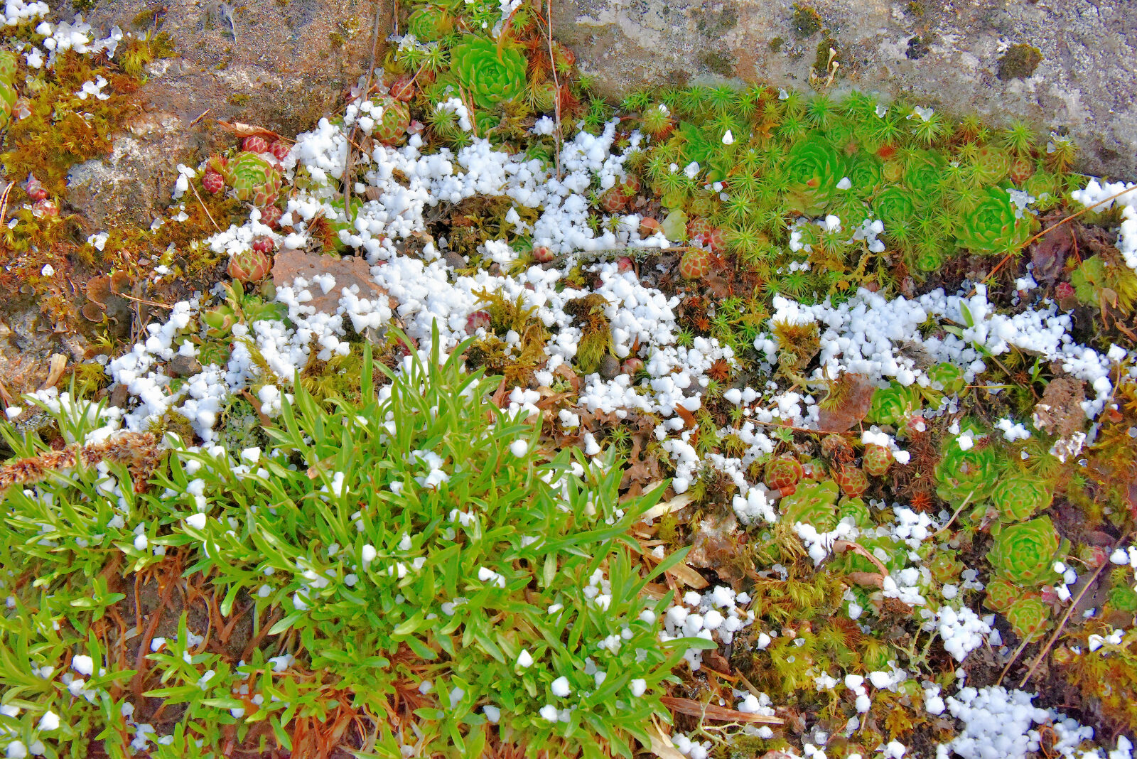 Valokuvaaja: Reijo Juurinen