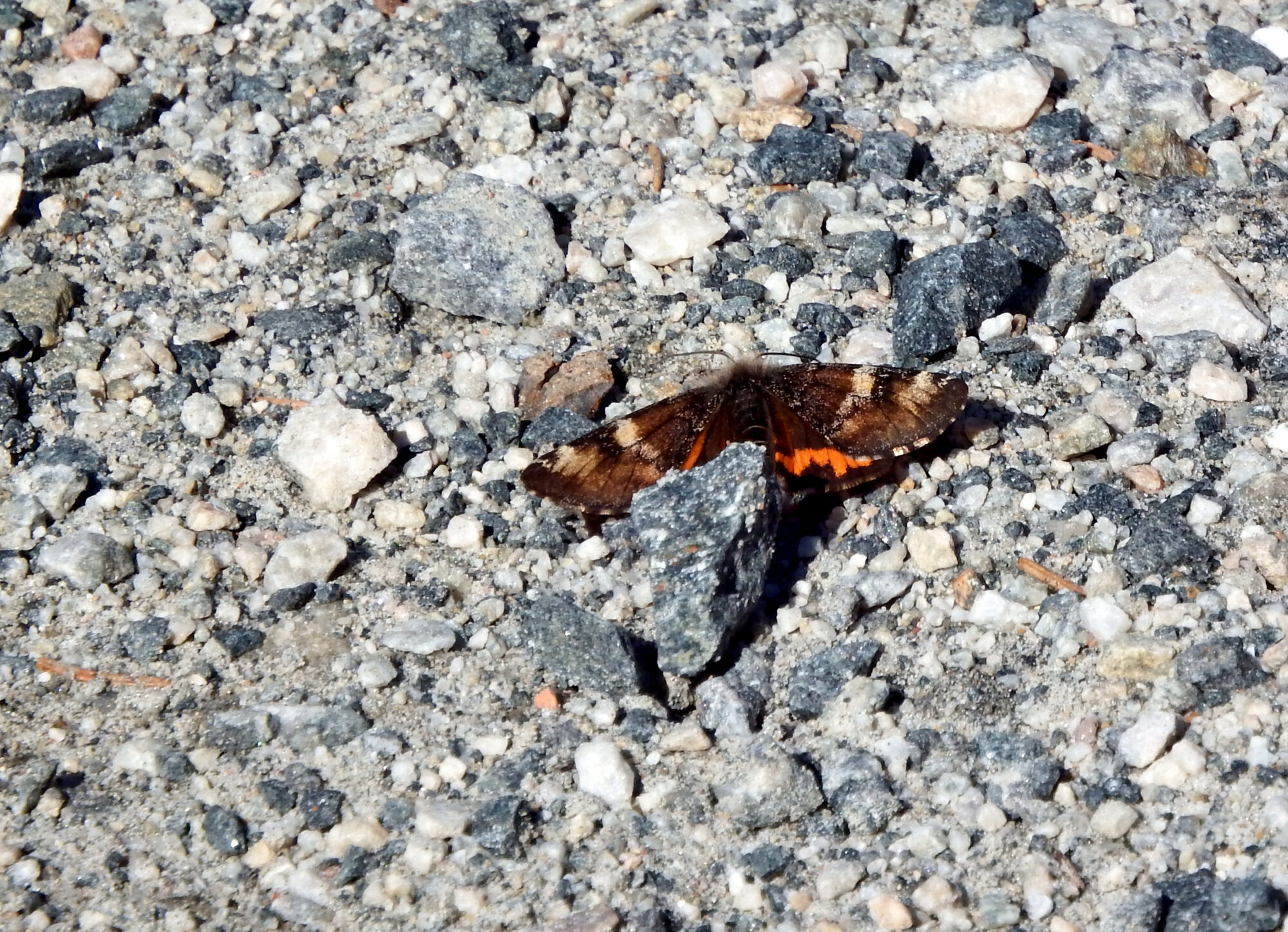 Valokuvaaja: Toni Asikainen