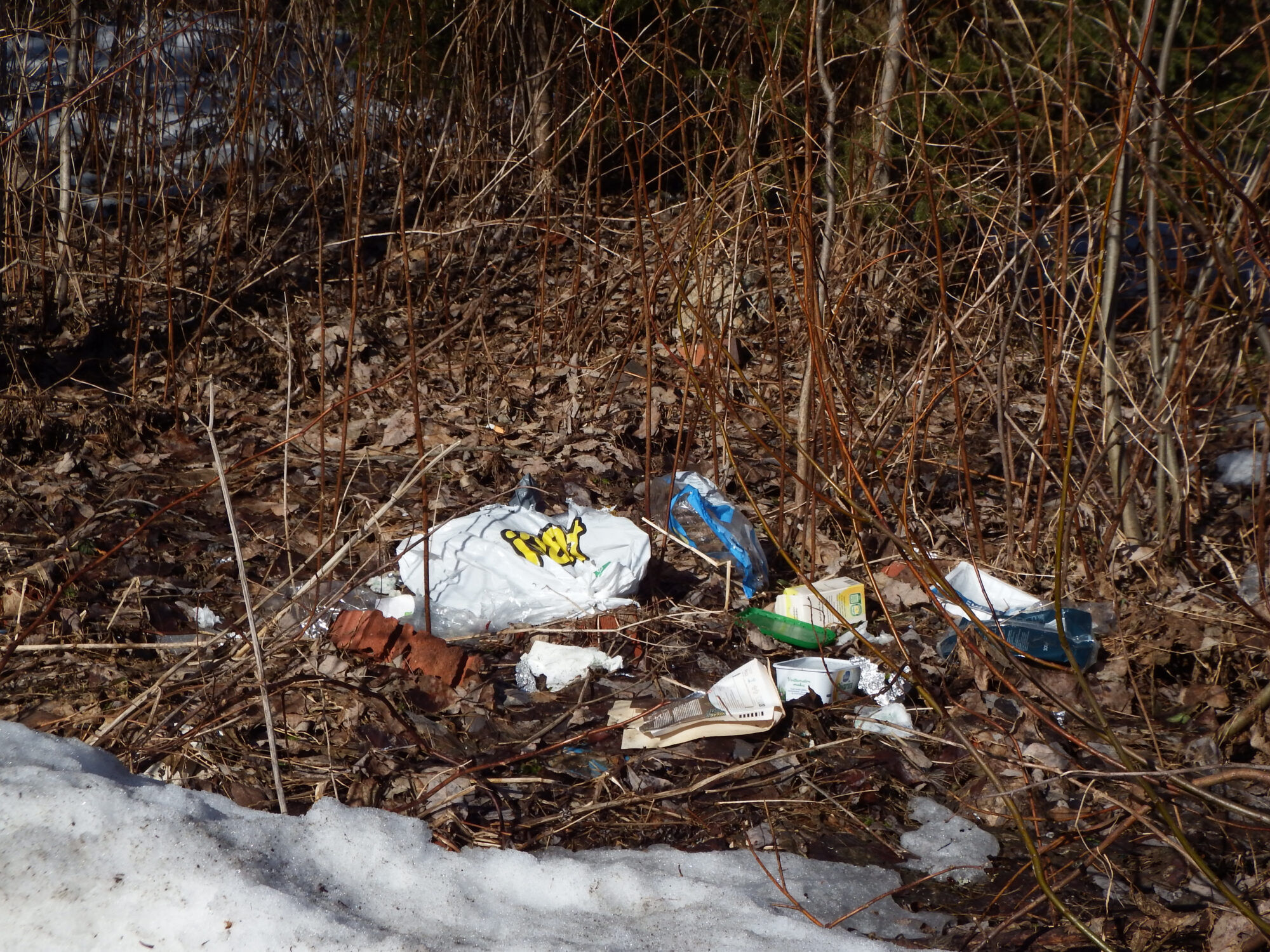 Valokuvaaja: Toni Asikainen