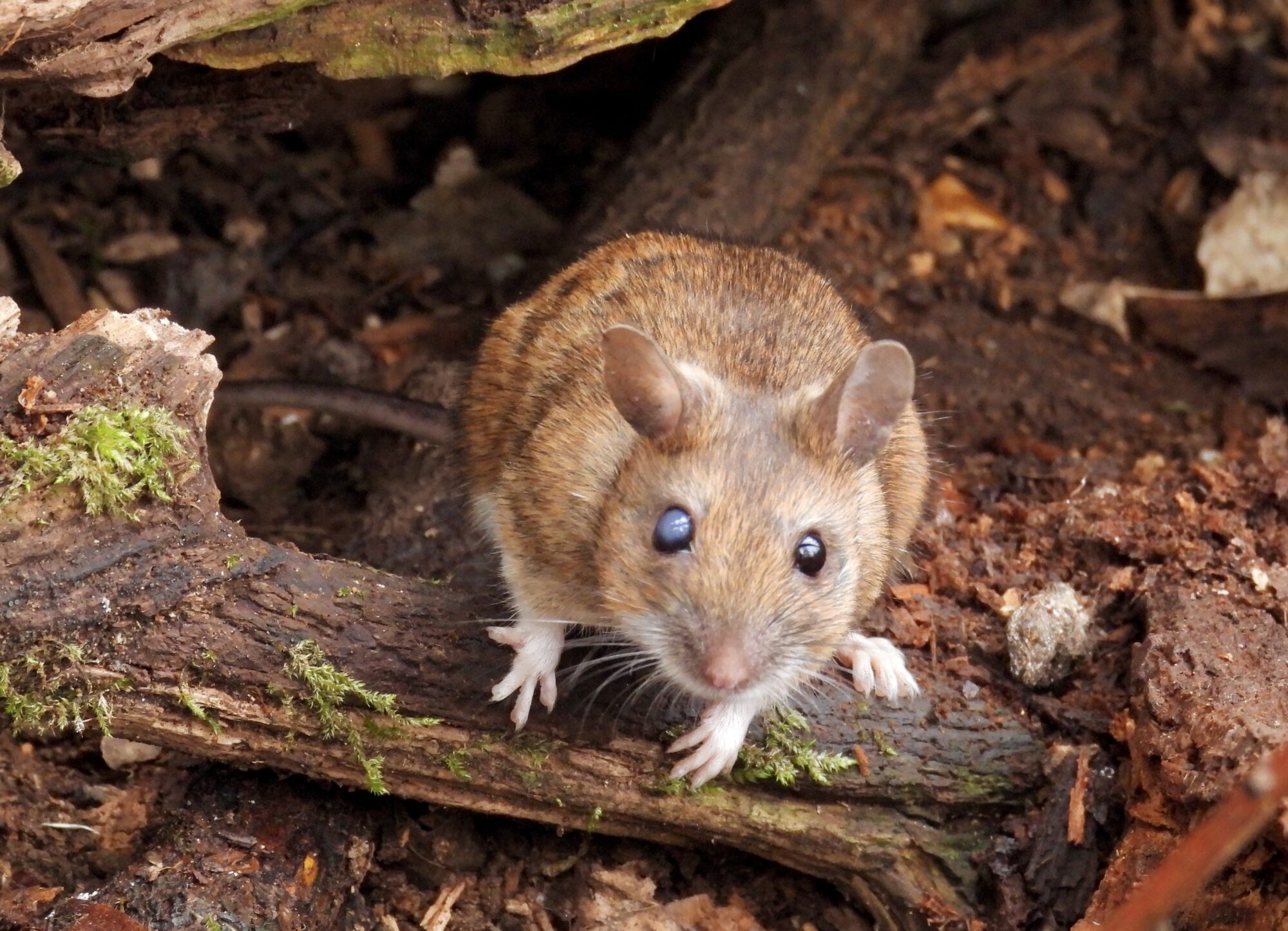 Valokuvaaja: Juhani Peltonen