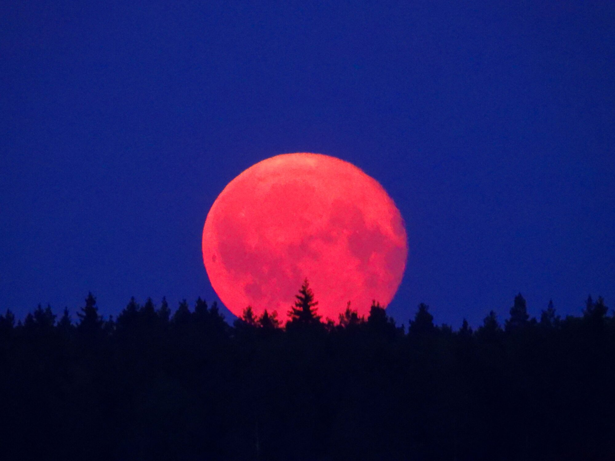 Valokuvaaja: Juhani Peltonen