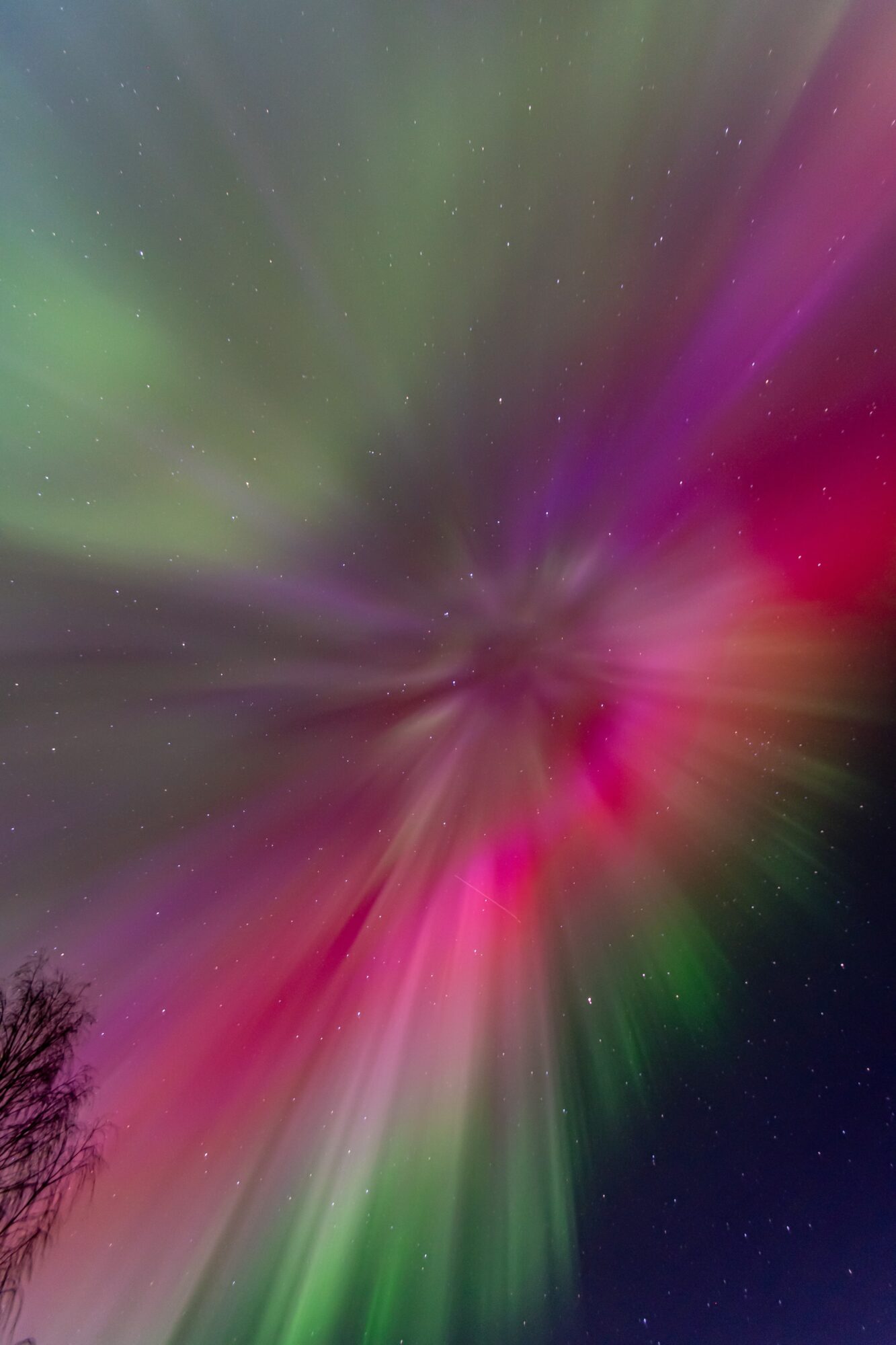 Valokuvaaja: Leena Rissanen