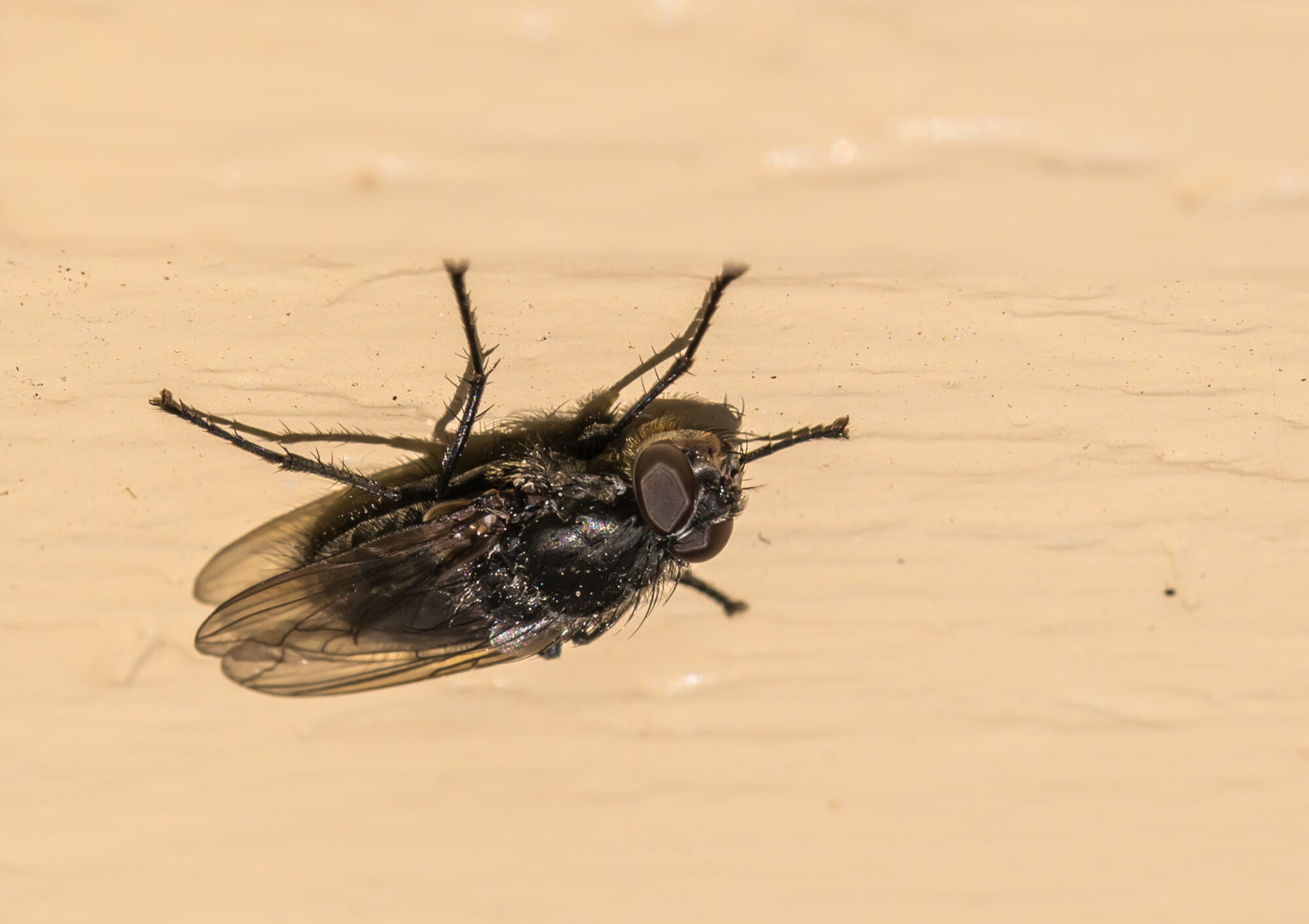 Valokuvaaja: Markku Saarinen