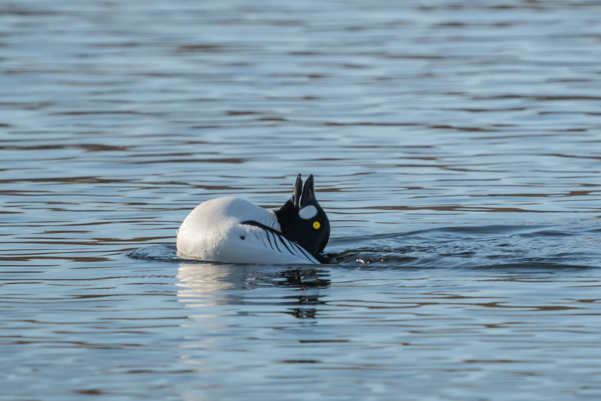 Valokuvaaja: Markku Saarinen