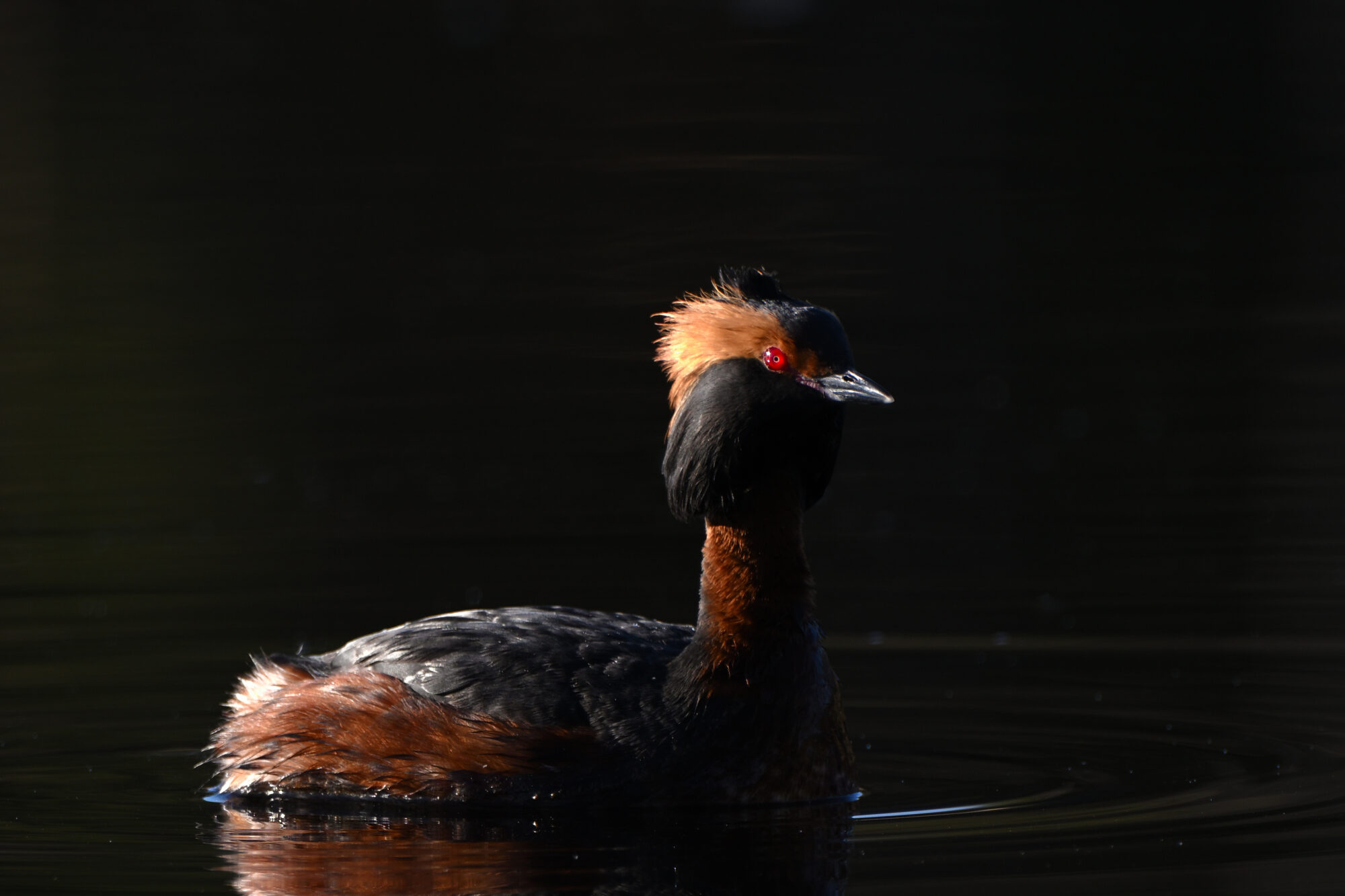 Valokuvaaja: Asko Heikkinen