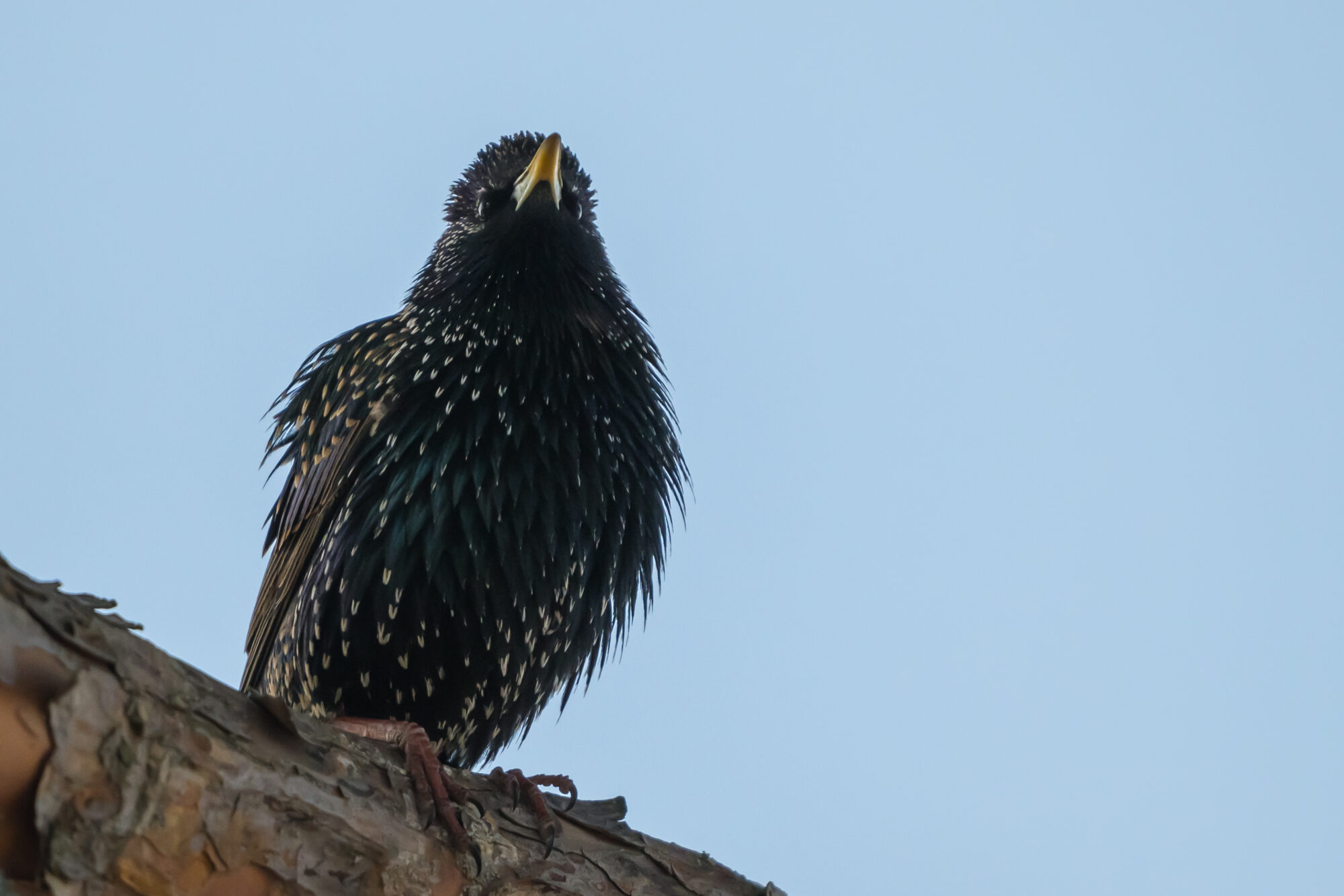 Valokuvaaja: MarkkuSaarinen