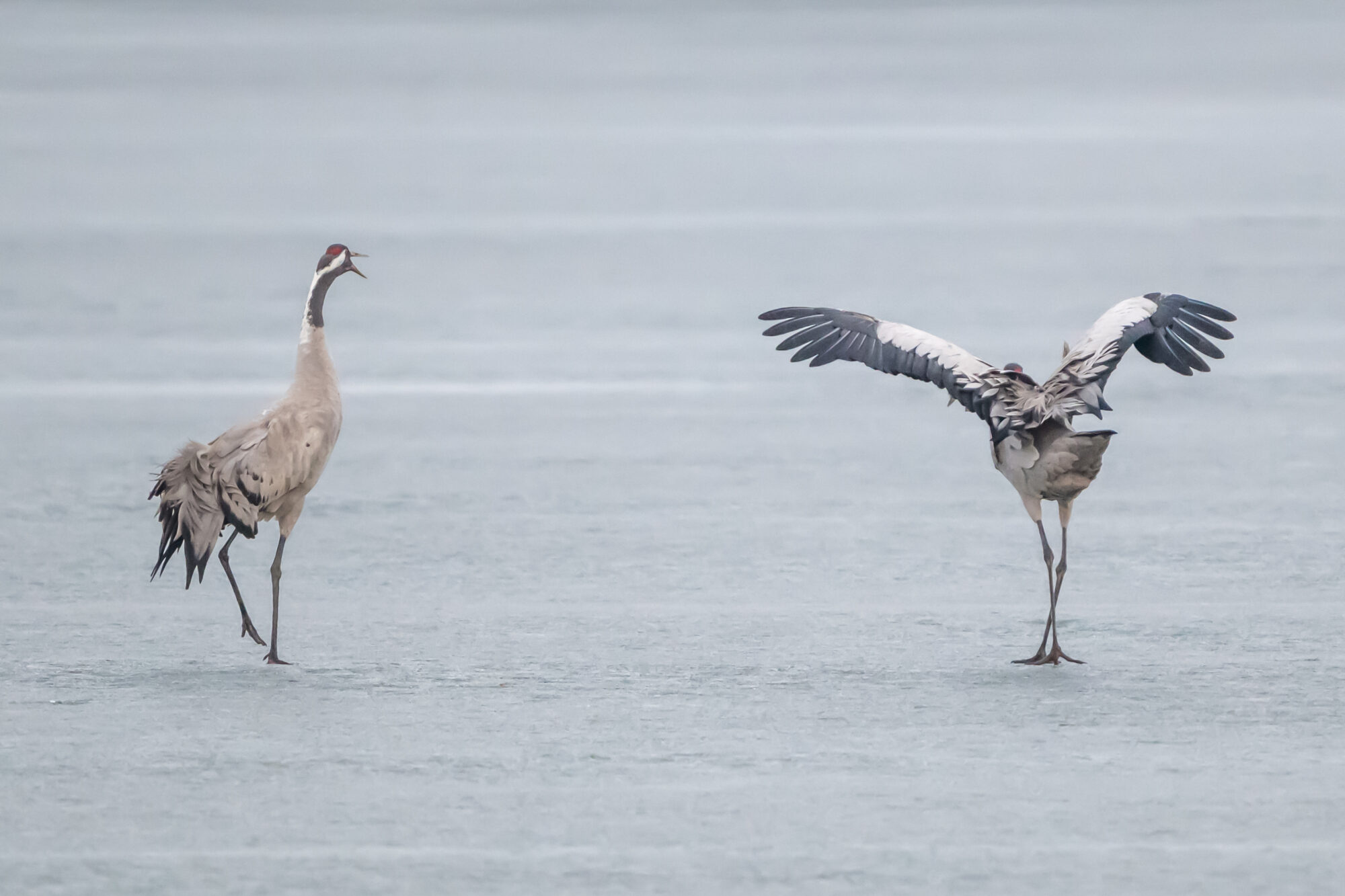 Valokuvaaja: Markku Saarinen