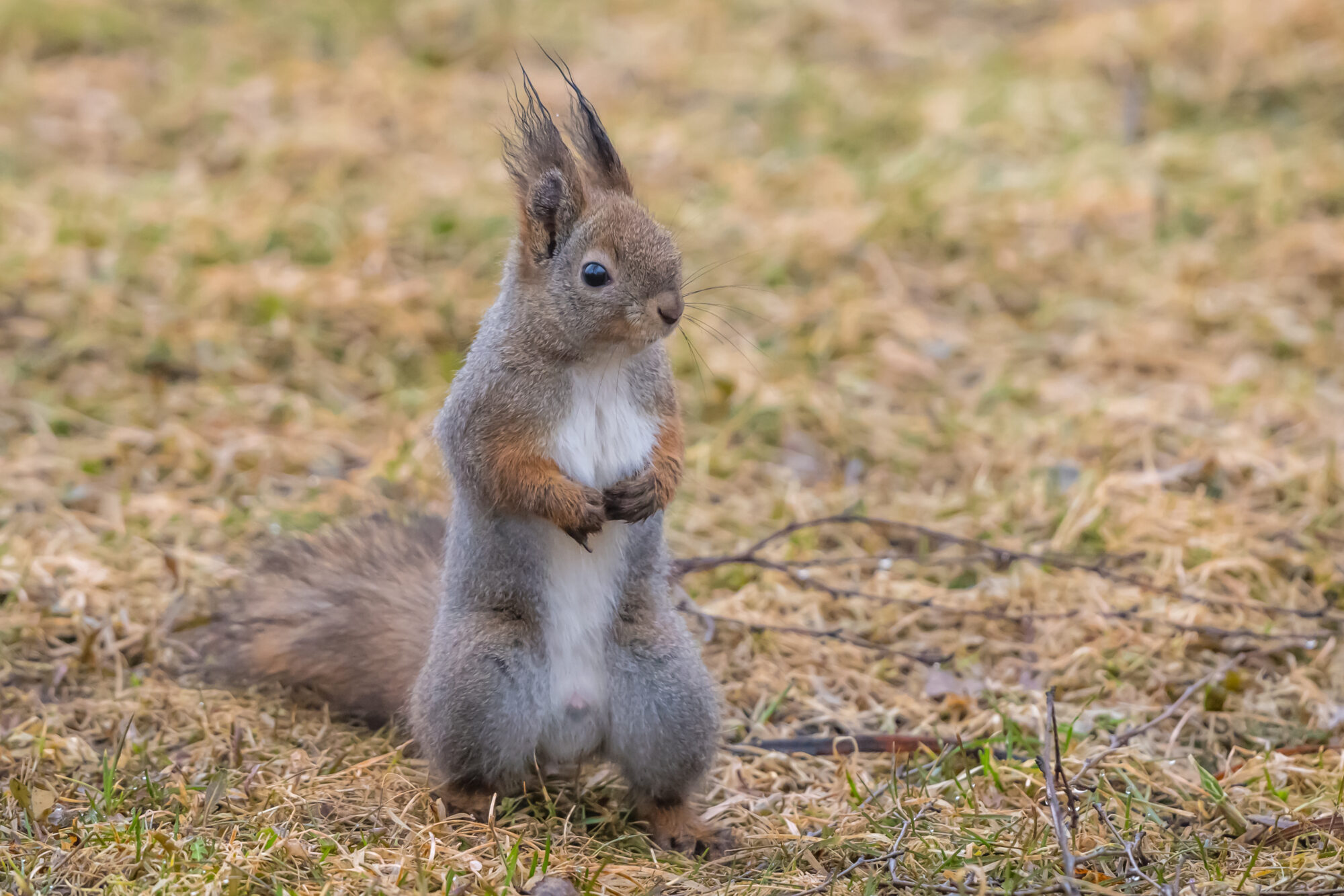 Valokuvaaja: Markku Saarinen