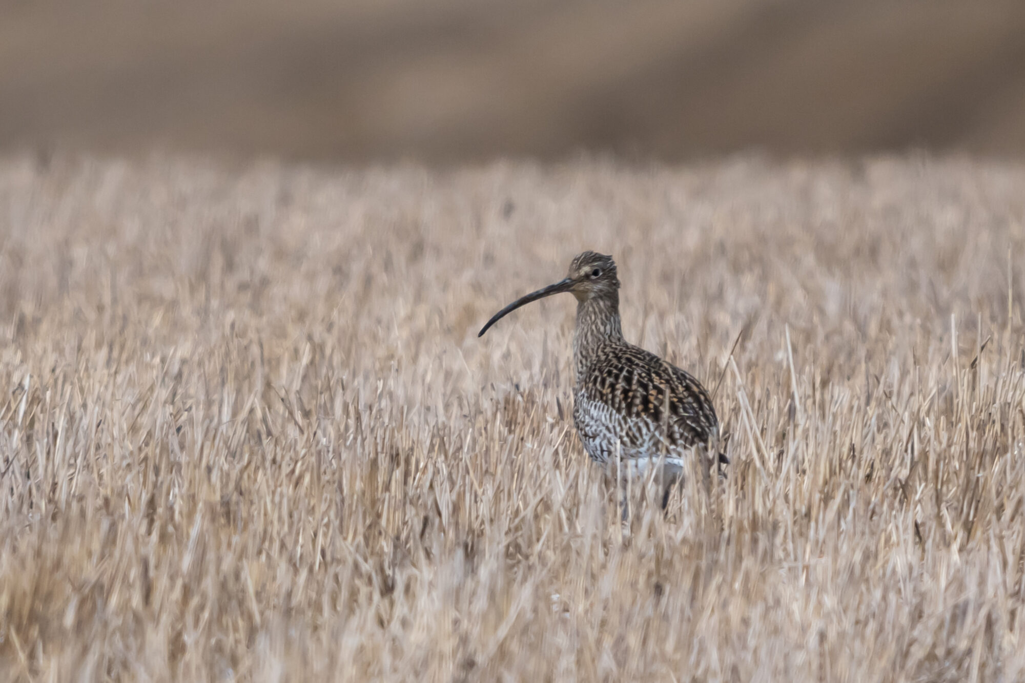 Valokuvaaja: Markku Saarinen
