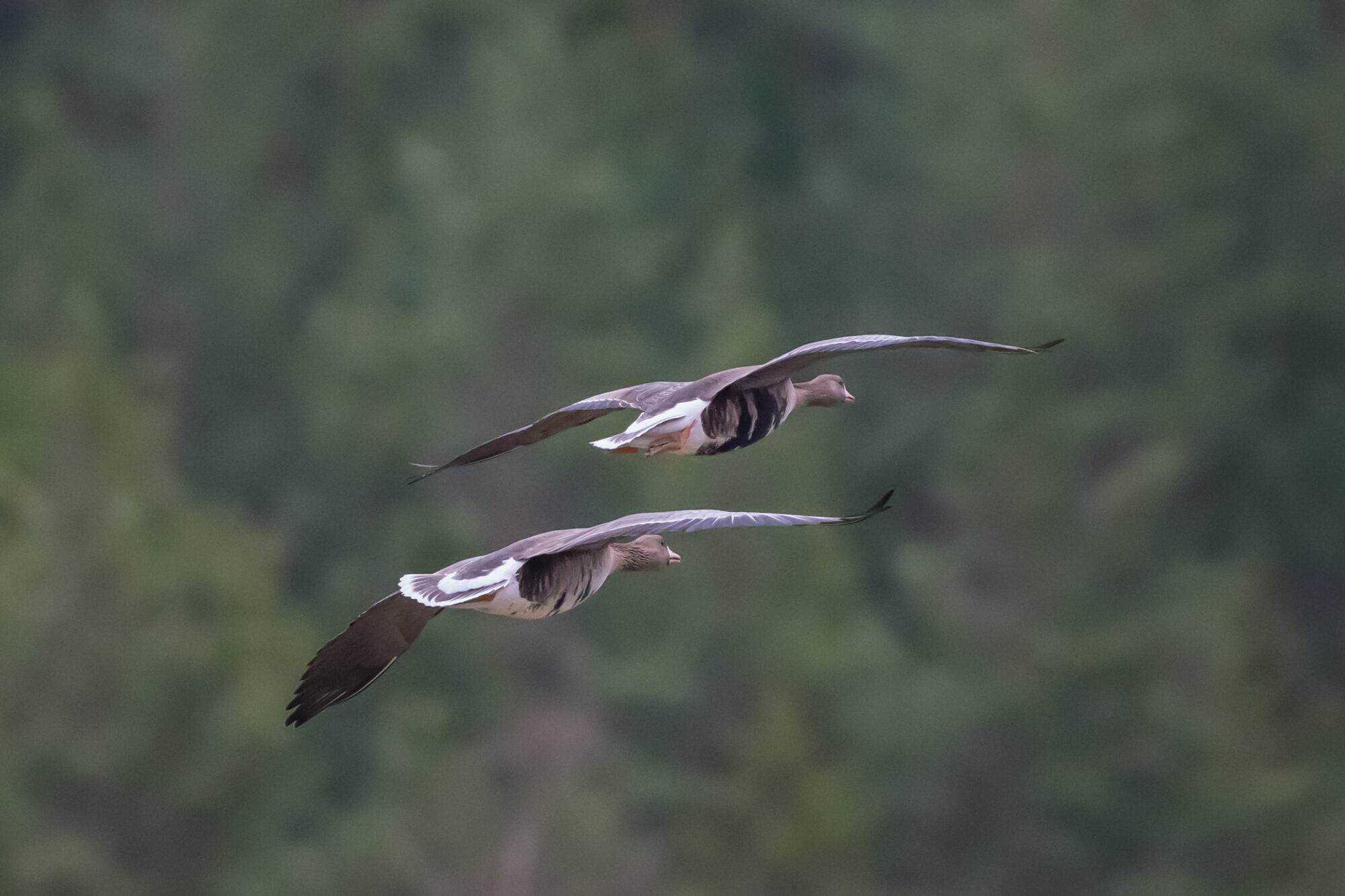 Valokuvaaja: Markku Saarinen