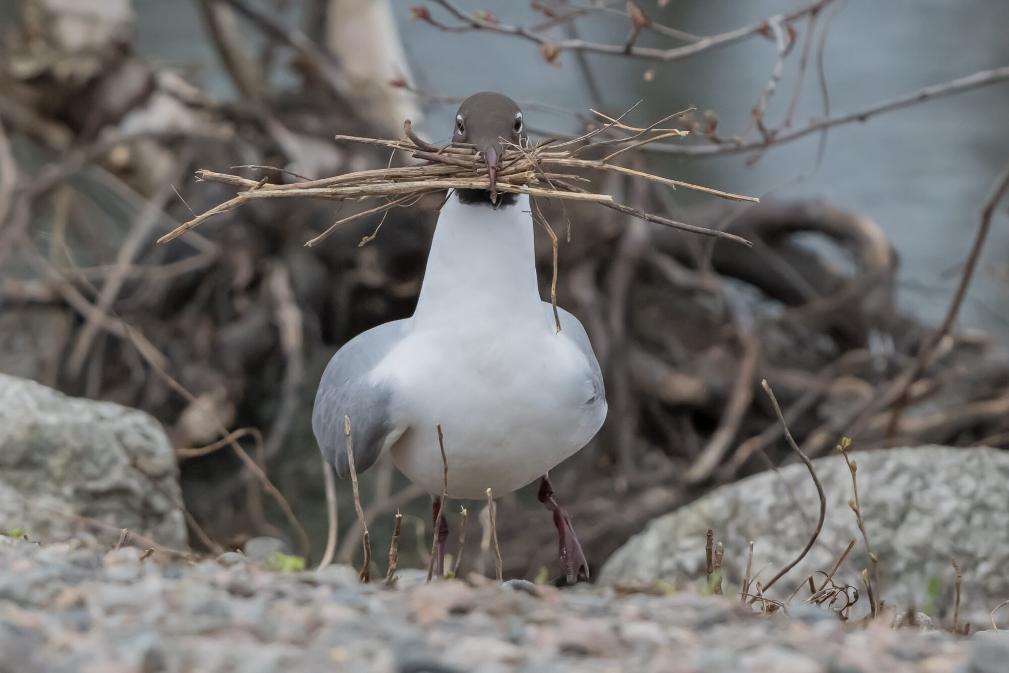 Valokuvaaja: Markku Saarinen