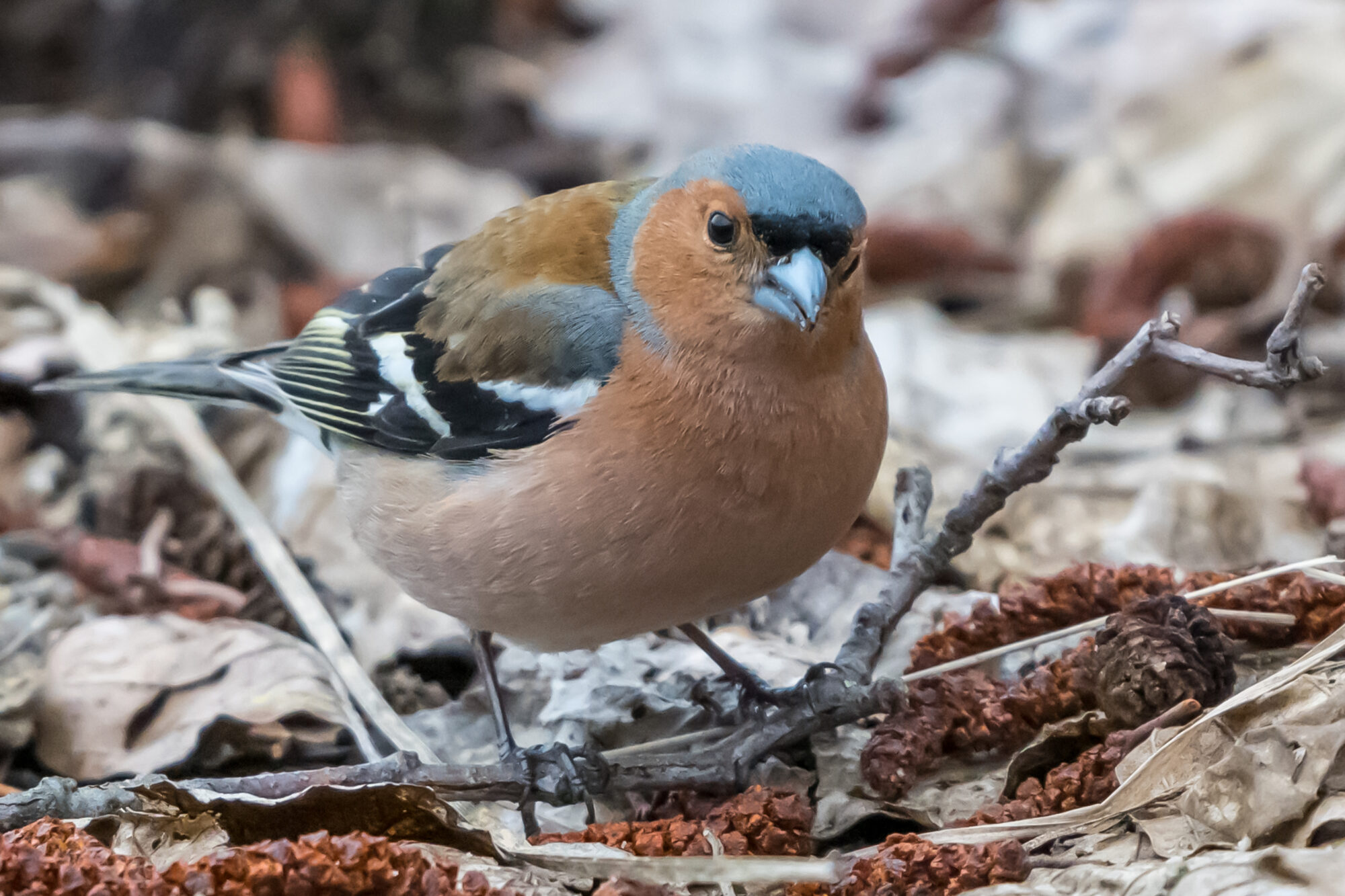 Valokuvaaja: Markku Saarinen