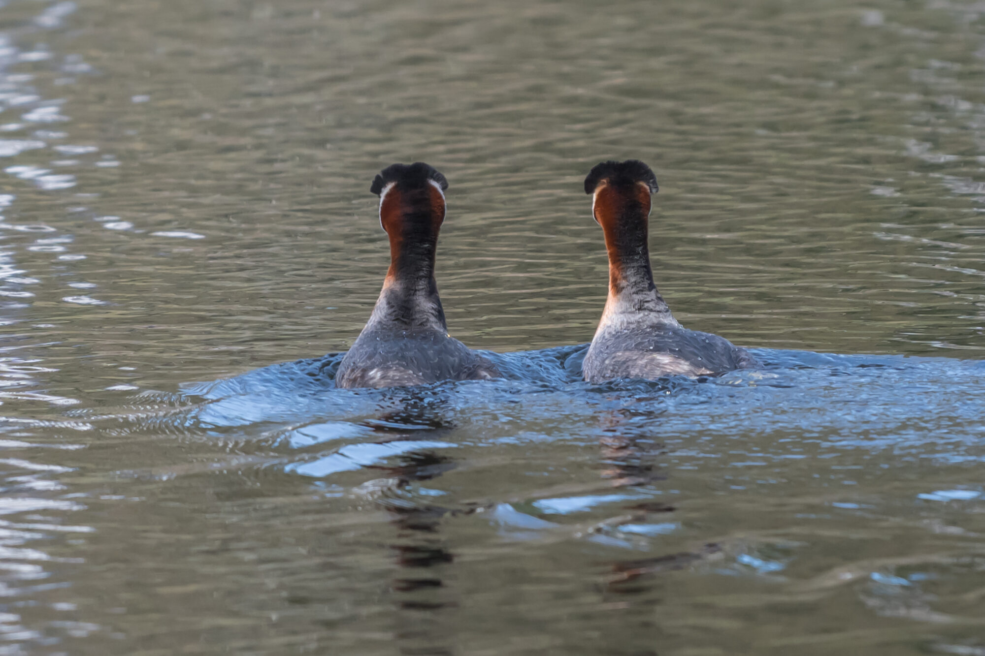 Valokuvaaja: Markku Saarinen