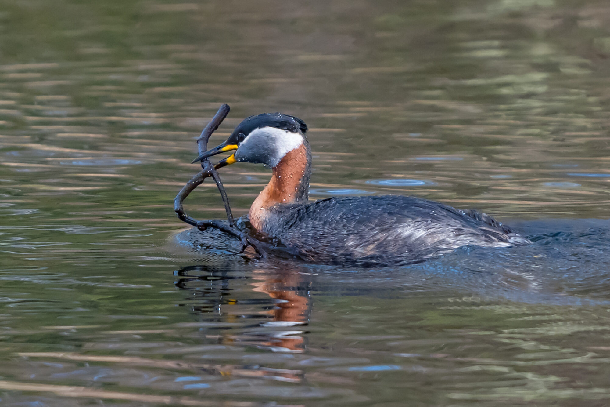 Valokuvaaja: Markku Saarinen