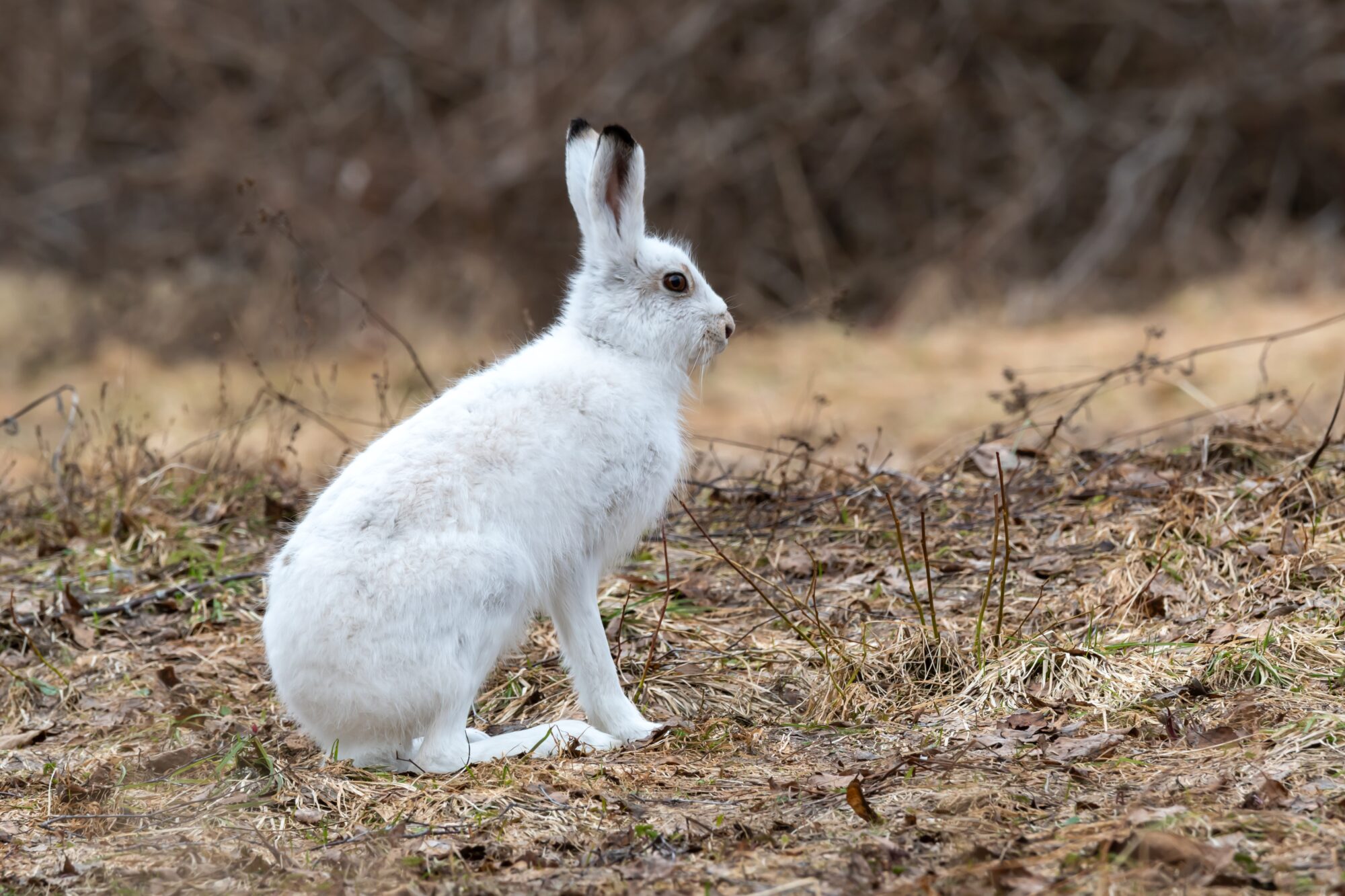 Valokuvaaja: Leena Rissanen