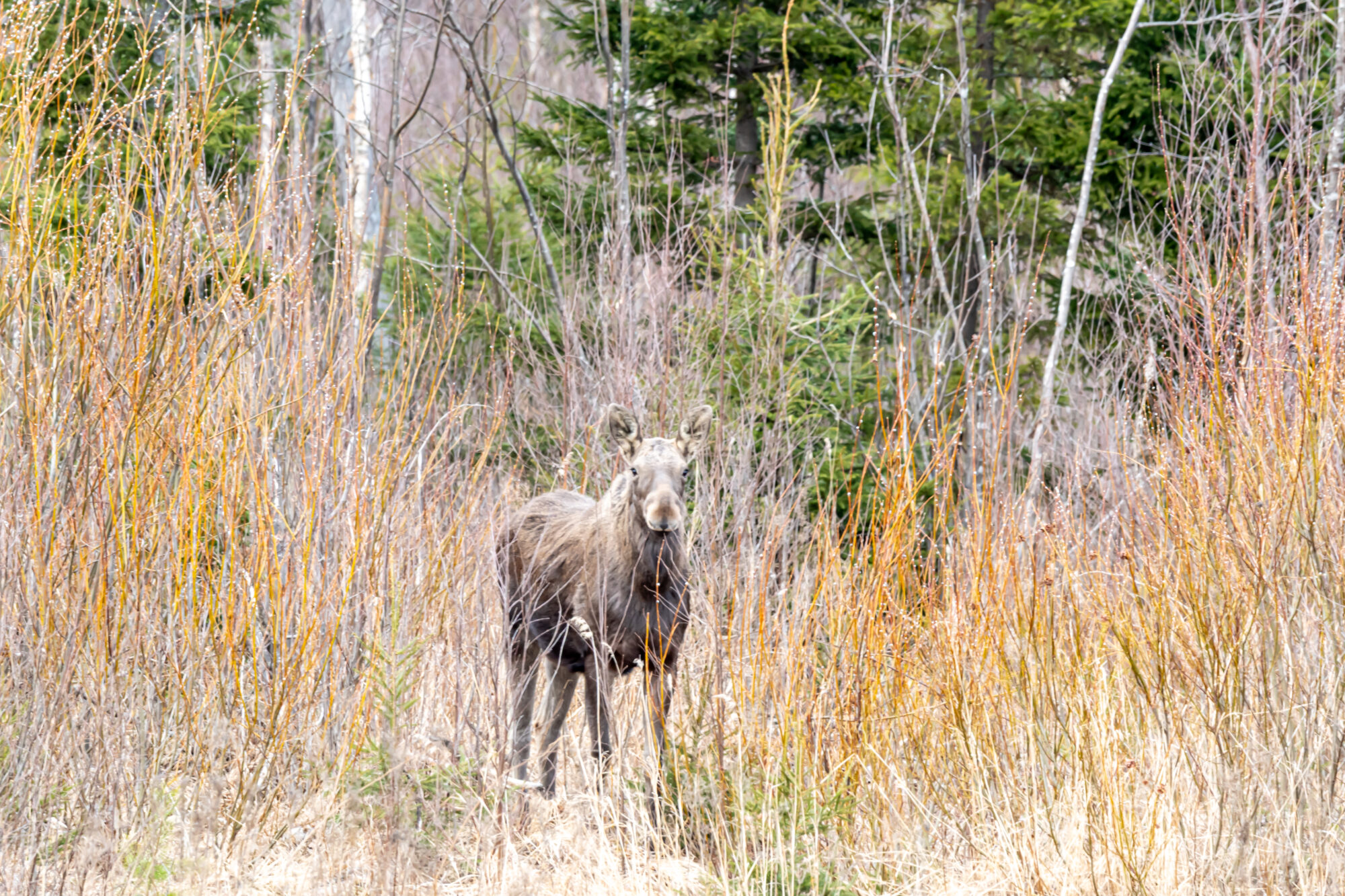 Valokuvaaja: Leena Rissanen